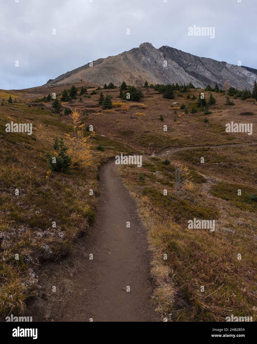 Percorso circo di Ptarmigan in autunno, Kananaskis, Peter Lougheed Provincial Park, Alberta, Canada Foto Stock