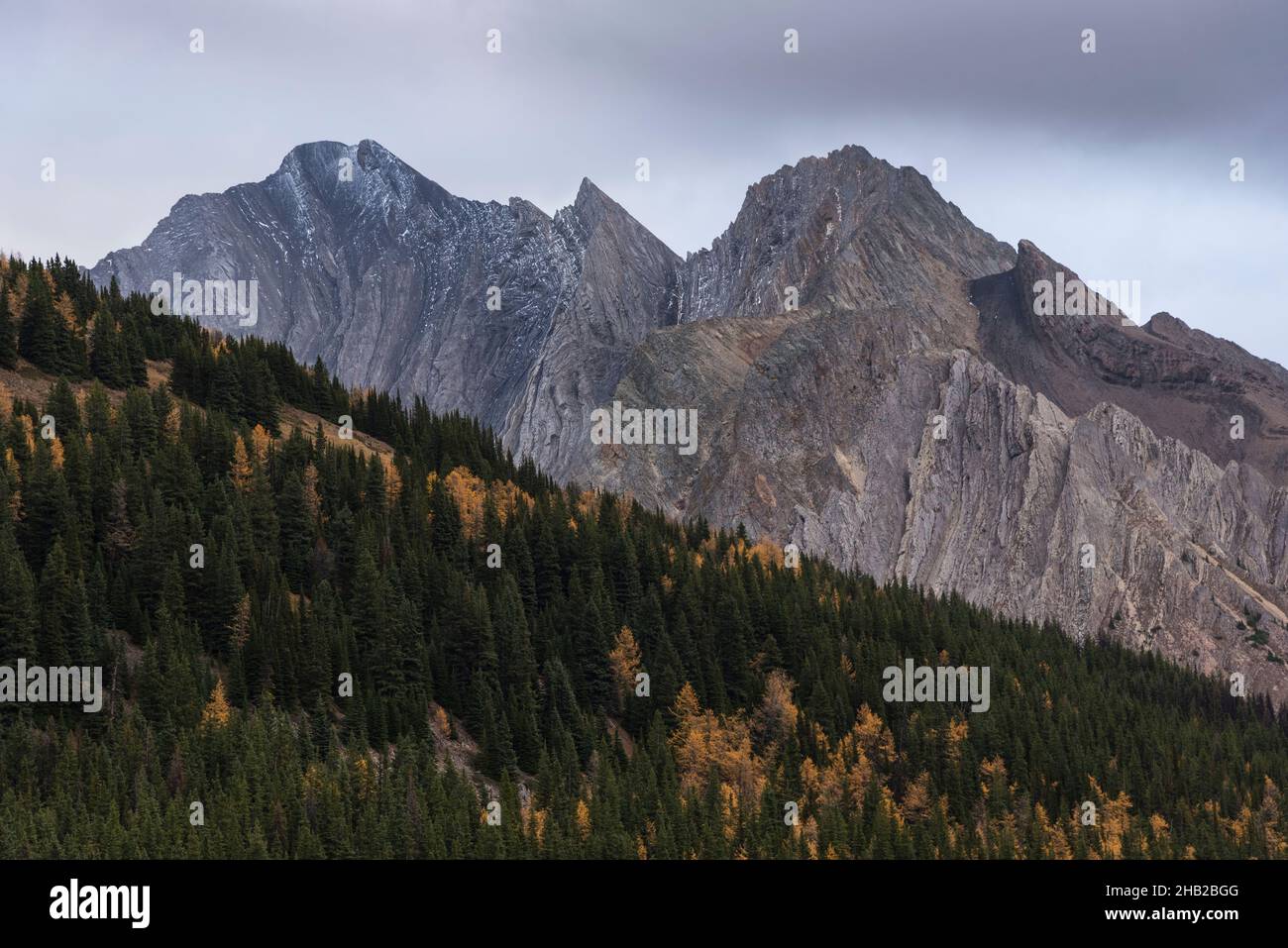 Storm Mountain da Ptarmigan Cirque Trail in autunno, Kananaskis, Peter Lougheed Provincial Park, Alberta, Canada Foto Stock