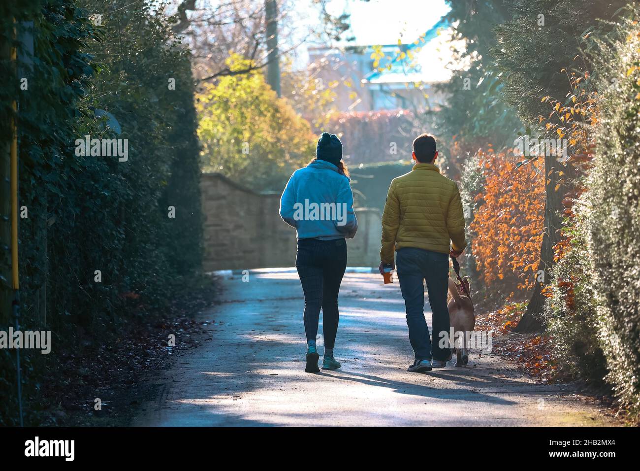 Una coppia che va a piedi con il proprio cane in una giornata invernale soleggiata Foto Stock