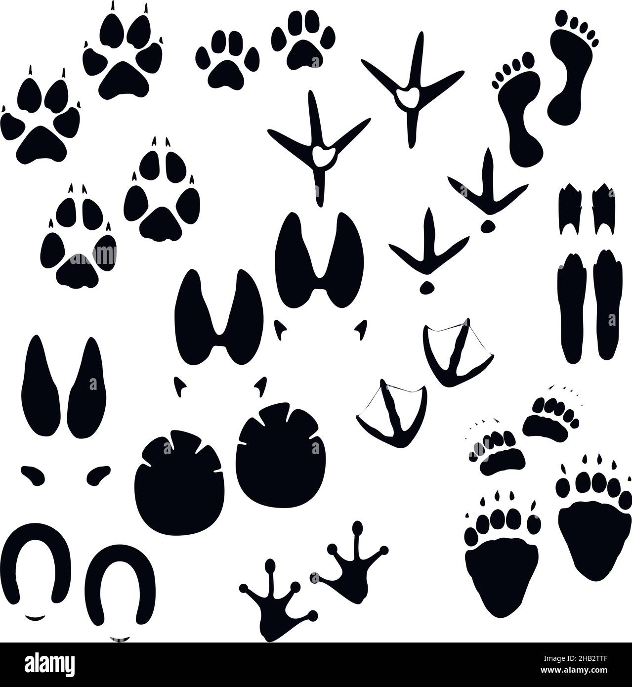 Raccolta di animali, uccelli e tracce di uomo Illustrazione Vettoriale