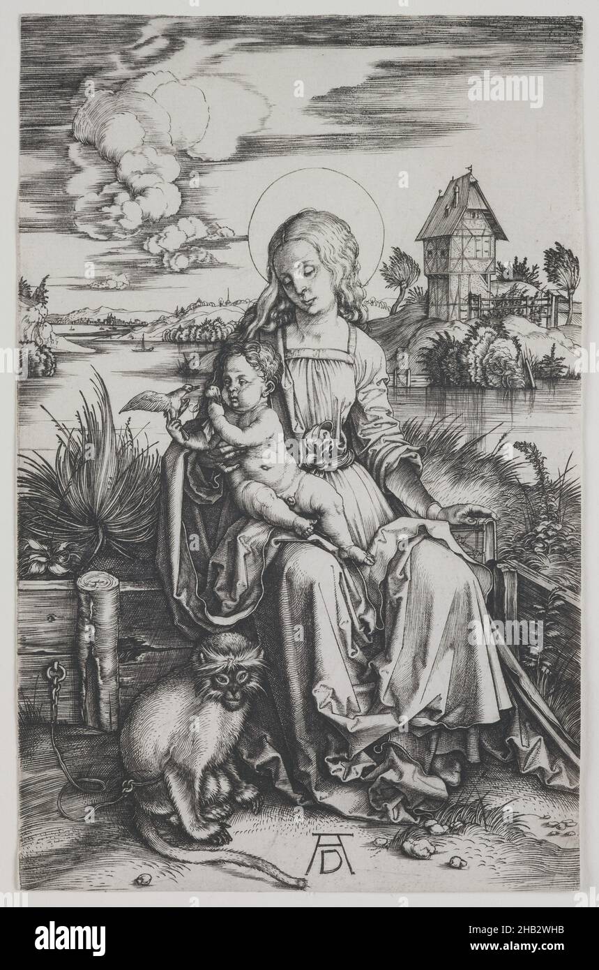 Madonna con la scimmia, Albrecht Dürer, tedesco, 1471–1528, c.1498, Incisione, fatta a Norimberga, Baviera, Germania, Europa, Stampe, piastra: 7 1/2 x 4 13/16 pollici (19 x 12,2 cm Foto Stock