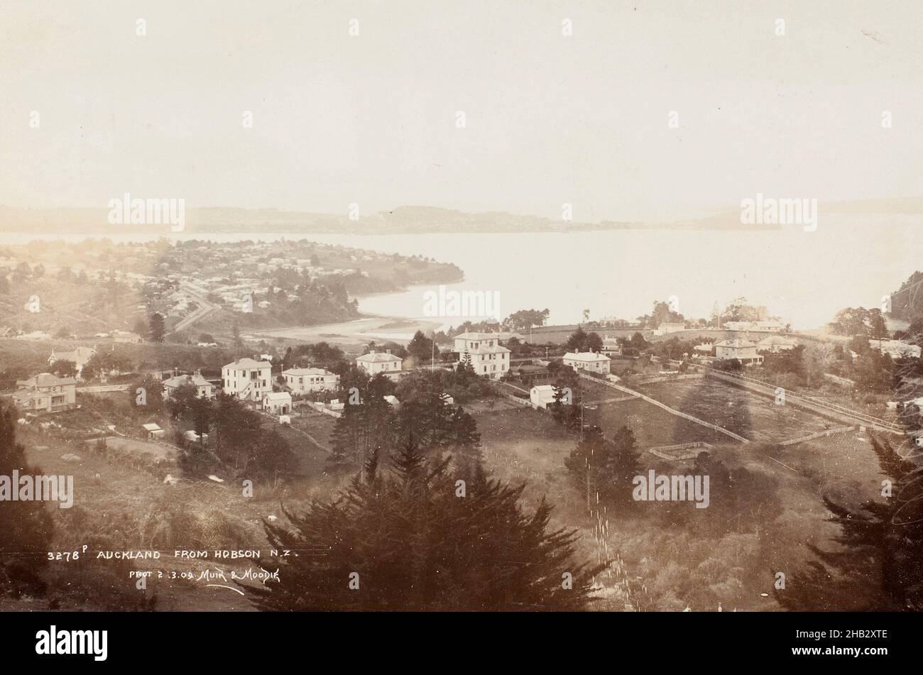 Auckland da Hobson N.Z, Muir & Moodie studio, studio di fotografia, inizio XX secolo, Dunedin, fotografia Foto Stock
