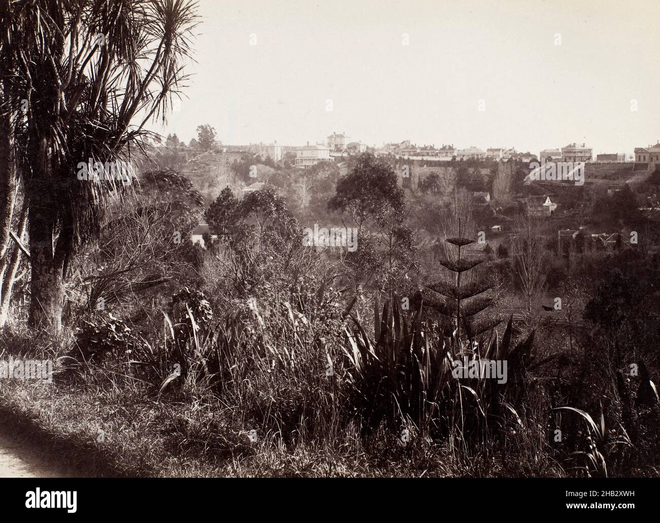 Dal dominio - Auckland, studio Burton Brothers, studio fotografico, fine del XIX secolo o inizio del XX secolo, Dunedin, fotografia Foto Stock