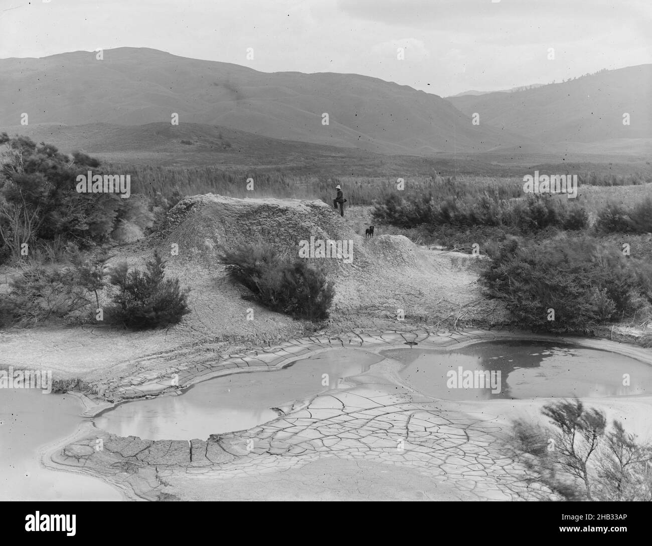 [Il vulcano di fango di TE Huinga, la valle di Waiotapu], studio di Burton Brothers, studio di fotografia, Nuova Zelanda, fotografia in bianco e nero Foto Stock