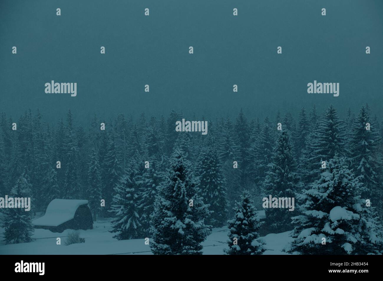 Inverno Snowy scena con alberi e granaio Foto Stock