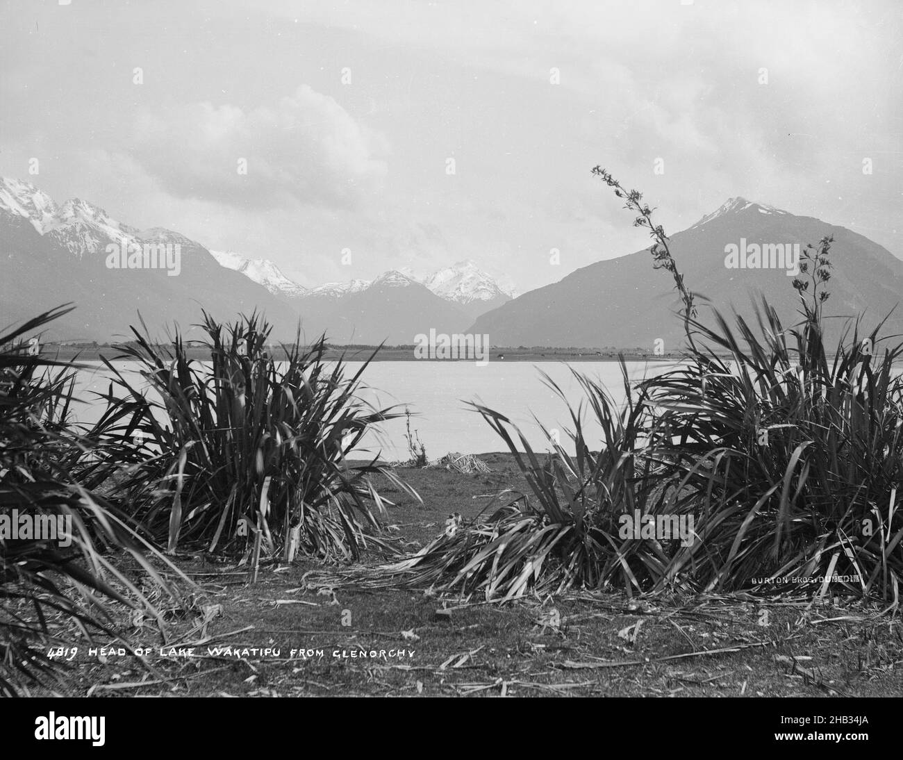 Capo del lago Wakatipu, da Glenorchy, studio Burton Brothers, studio fotografico, 1888, Nuova Zelanda, fotografia in bianco e nero, vista verso alte montagne con un primo piano di cespugli di lino e un tratto d'acqua al centro parzialmente oscurato dai cespugli Foto Stock