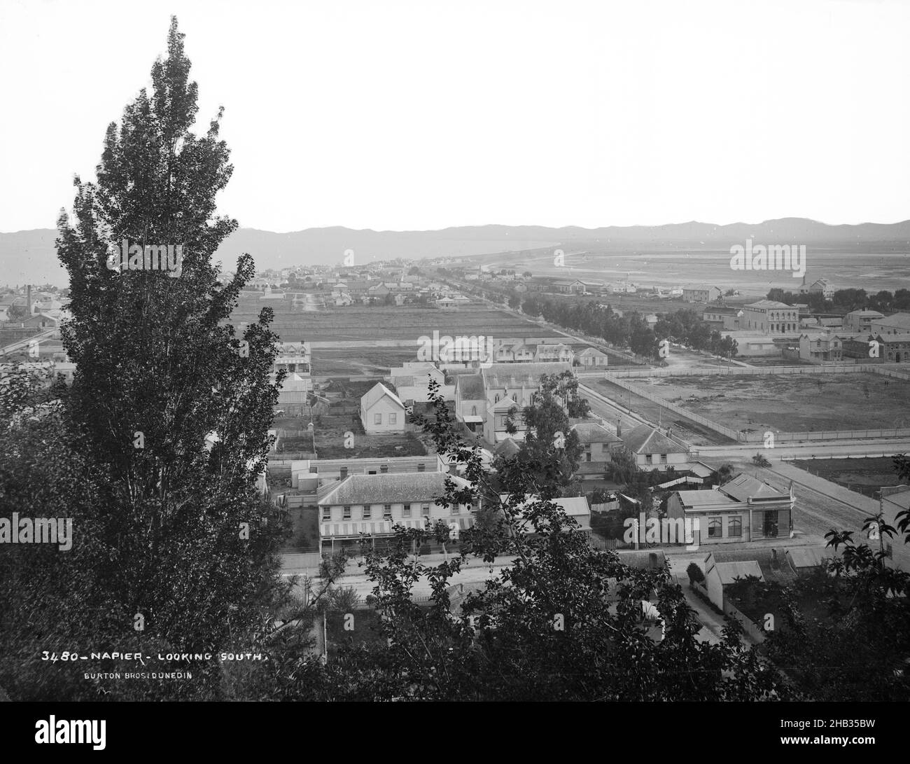 Napier, guardando a sud, studio Burton Brothers, studio fotografico, Dunedin, fotografia in bianco e nero Foto Stock