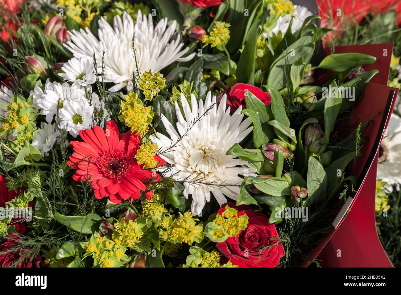 Bouquet di fiori diversi in primo piano Foto Stock