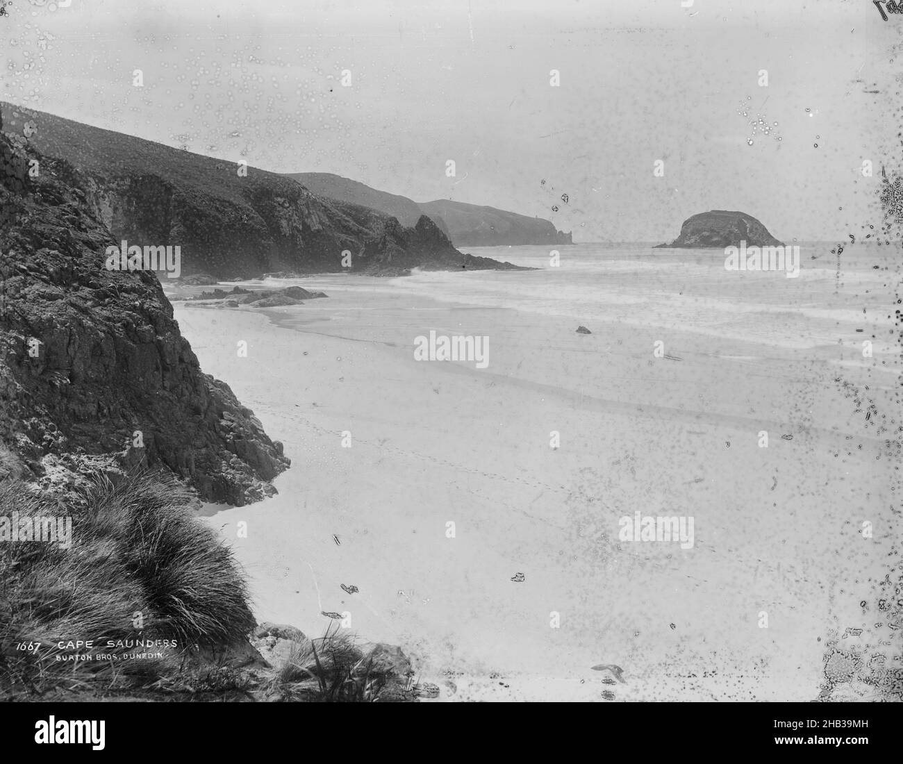 Capo Saunders, studio Burton Brothers, studio fotografico, Nuova Zelanda, fotografia in bianco e nero Foto Stock