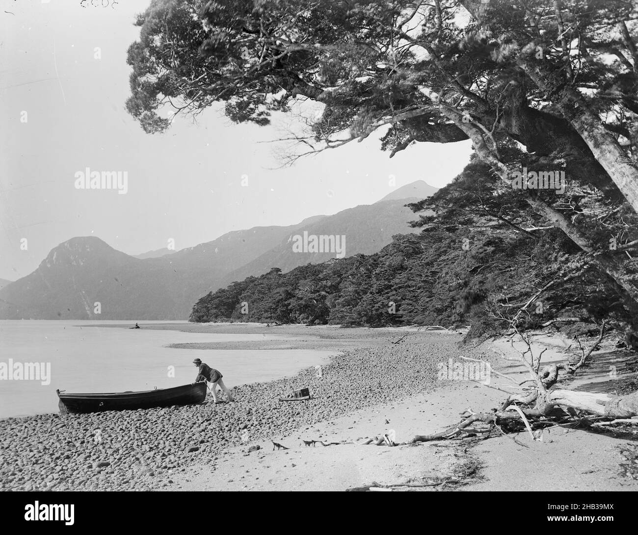 [Long Sound from Sandy Point, Preservation Inlet], studio Burton Brothers, studio fotografico, 1885, Dunedin, fotografia in bianco e nero Foto Stock