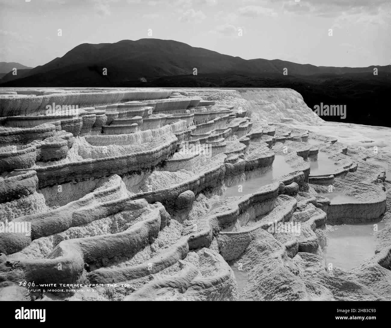 White Terrace From the top, studio Burton Brothers, studio fotografico, 10 novembre 1885, Nuova Zelanda, Fotografia in bianco e nero, Vista delle terrazze bianche, prima dell'eruzione del 1886, che mostra piscine e colline scure sullo sfondo Foto Stock