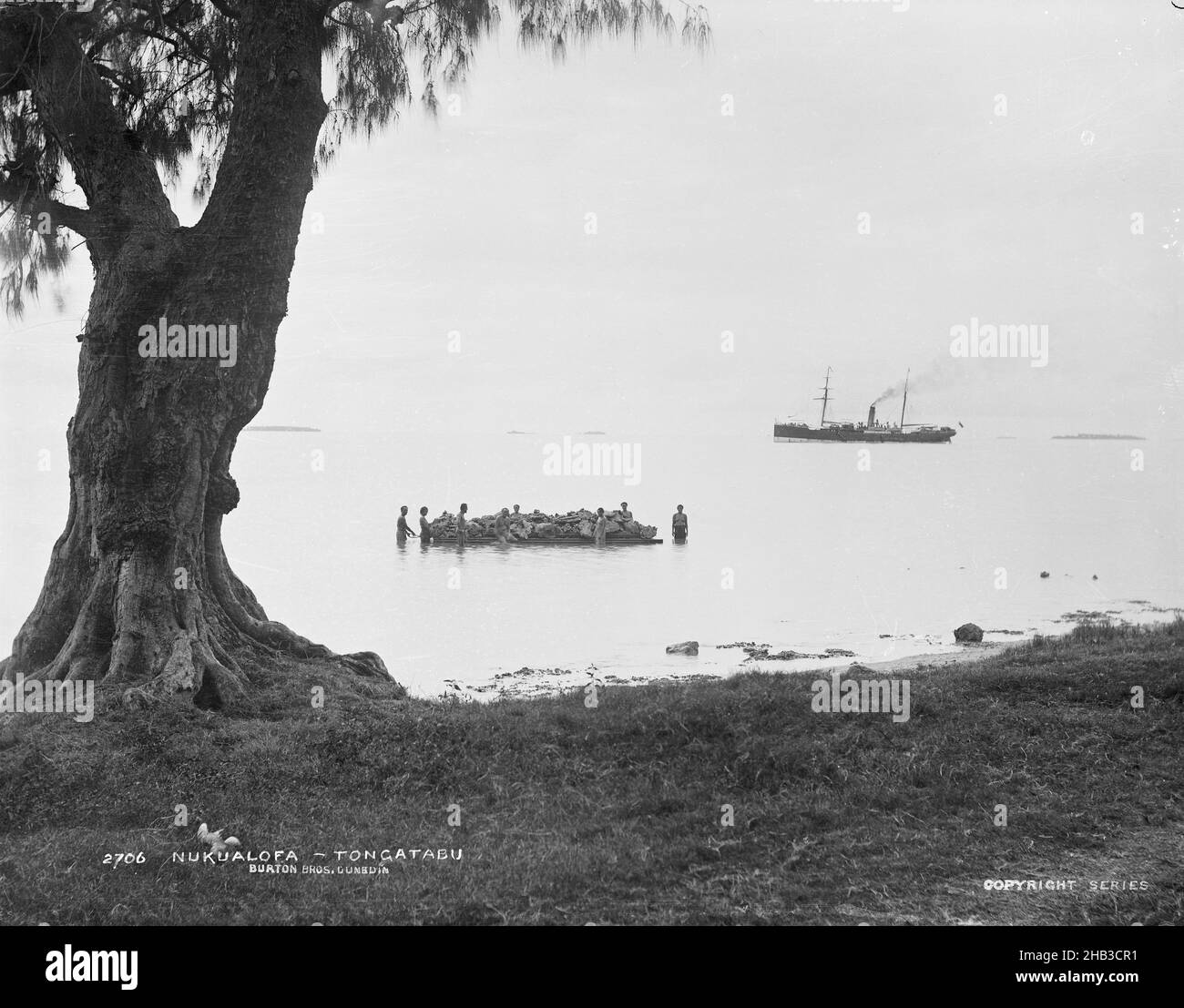 Nukualofa, Tongatabu [Nuku'alofa, Tongatapu], studio Burton Brothers, studio fotografico, Luglio 1884, Nuova Zelanda, fotografia in bianco e nero, litorale di primo piano con grande albero a sinistra. Mare con una nave a destra con due alberi e imbuto fumante e al centro grande zattera galleggiante con otto uomini in piedi in acqua intorno ad esso Foto Stock