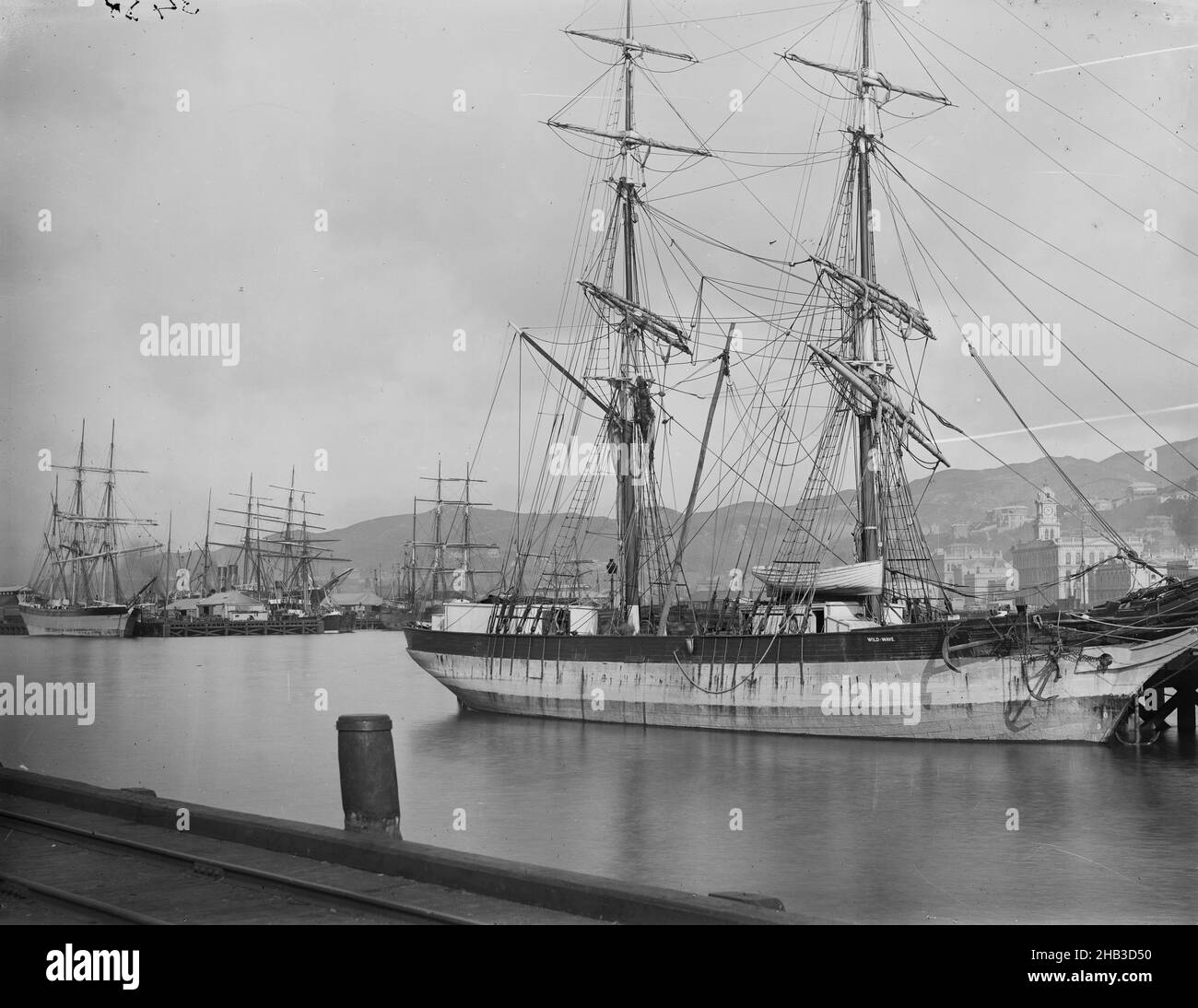 [Wellington dal molo], studio Burton Brothers, studio fotografico, 1880s, Dunedin, Processo piatto secco di gelatina, nave a vela al molo Wild Wave. Edificio dell'ufficio postale e torre dell'orologio sullo sfondo Foto Stock