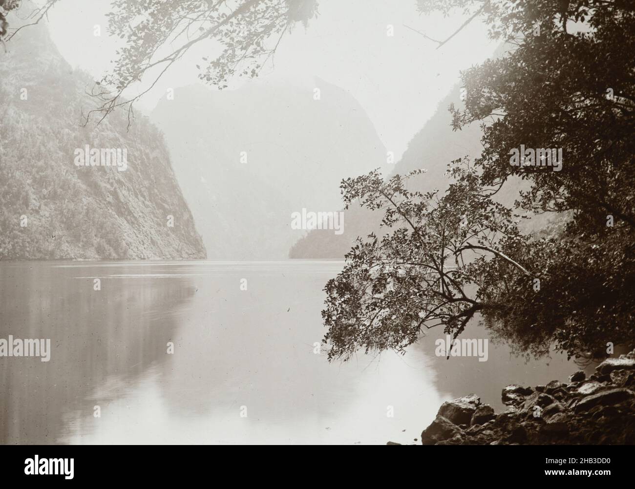 Hall's Arm, Looking Down, studio Burton Brothers, studio fotografico, 1885, Dunedin, fotografia in bianco e nero, raffigura Hall Arm, una stretta estensione del Doubtful Sound che si estende a sud del Parco Nazionale Fiordland Foto Stock