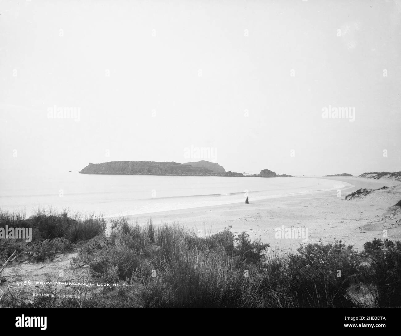 Da Maunganui, guardando a sud, studio Burton Brothers, studio fotografico, 1886, Nuova Zelanda, fotografia in bianco e nero Foto Stock