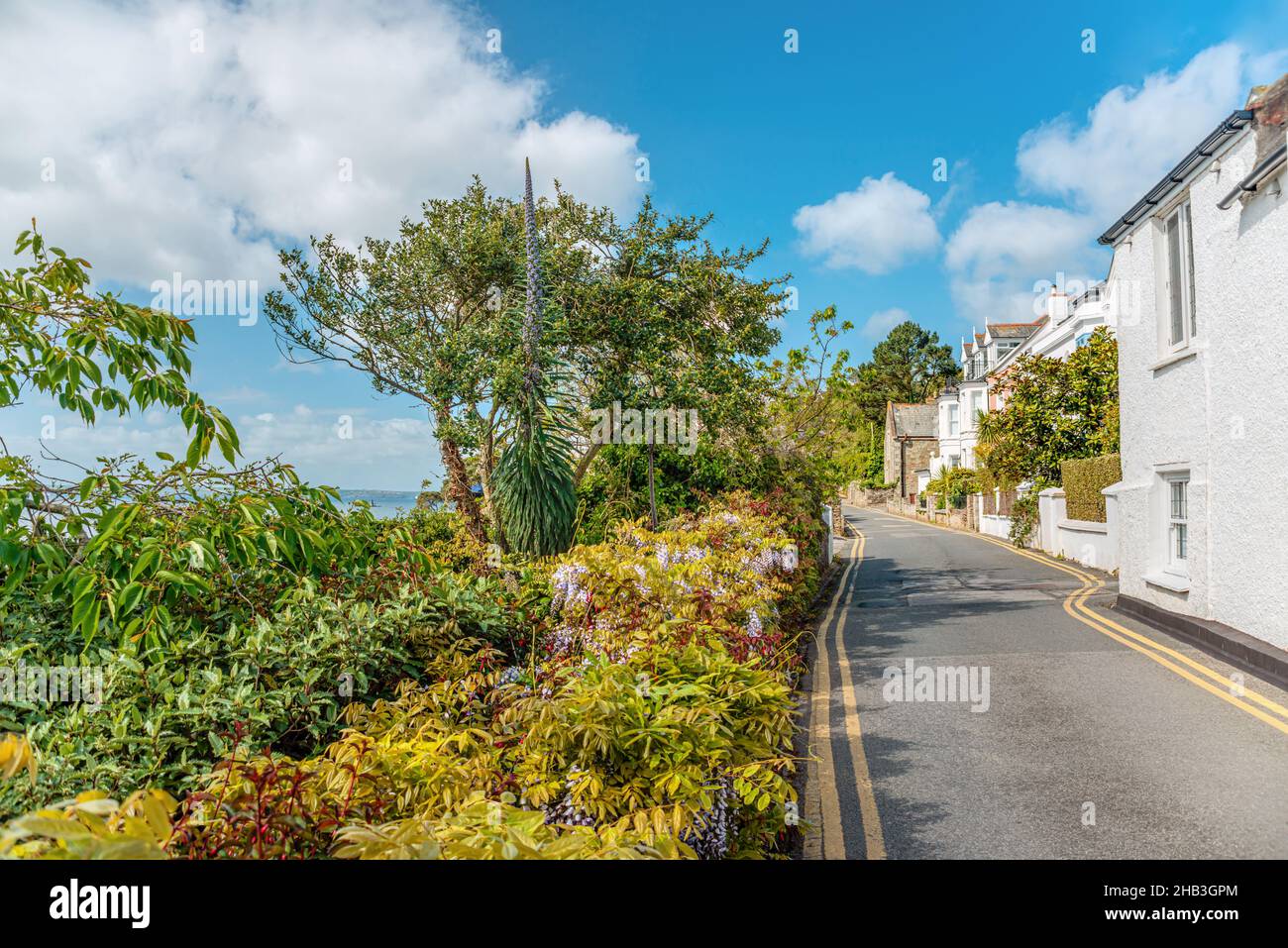 Strada costiera panoramica presso il villaggio di pescatori St.Mawes, Cornovaglia, Inghilterra, Regno Unito Foto Stock