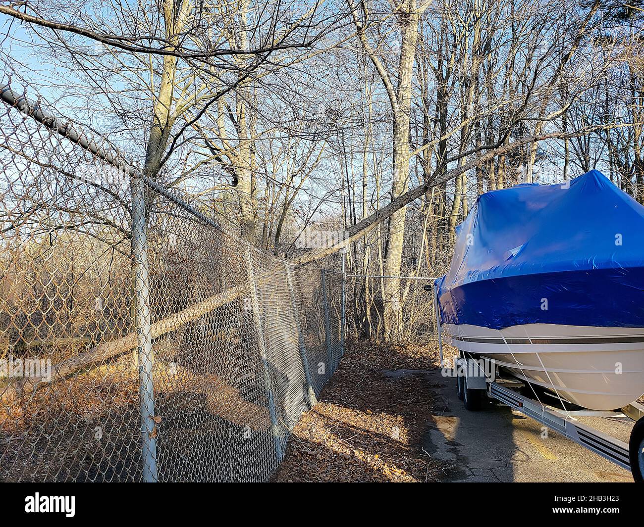 Albero caduto sulla recinzione della maglia della catena da un barcha a motore su un rimorchio con guaina blu Foto Stock