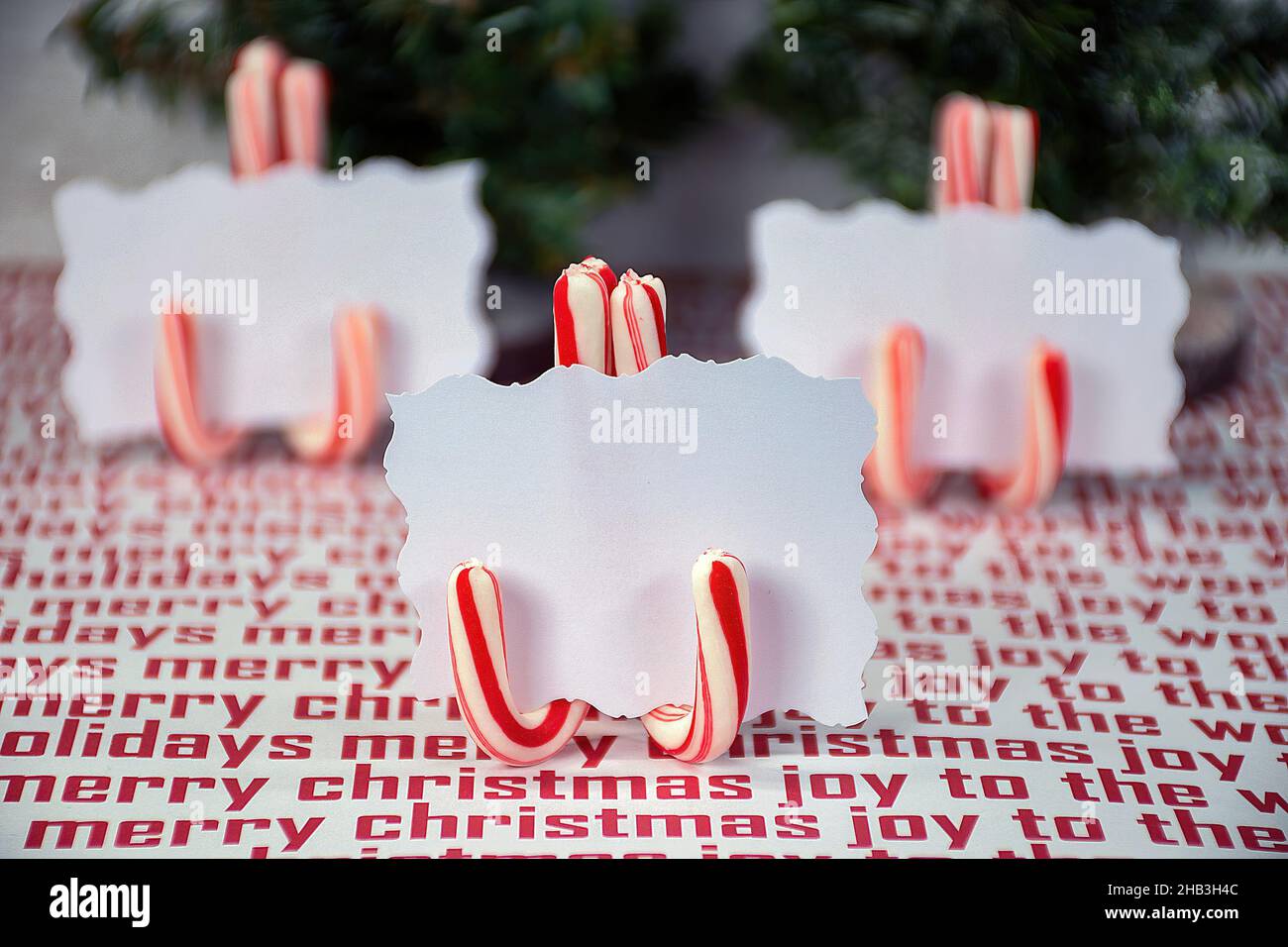 Porta carte di credito di canna da zucchero con garland verde di Natale Foto Stock