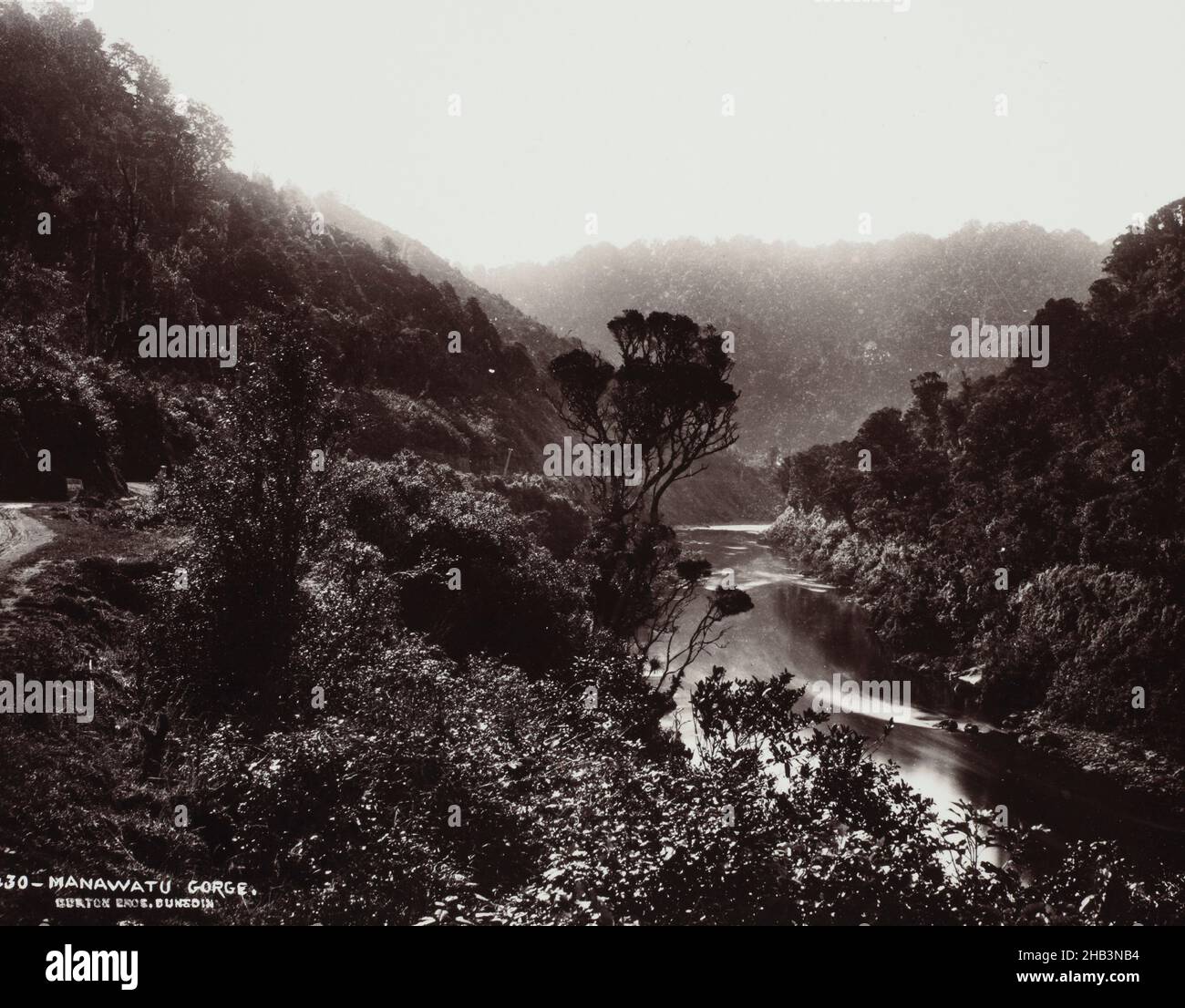 Manawatu Gorge, studio Burton Brothers, circa 1890, Manawatu, processo albumen Foto Stock