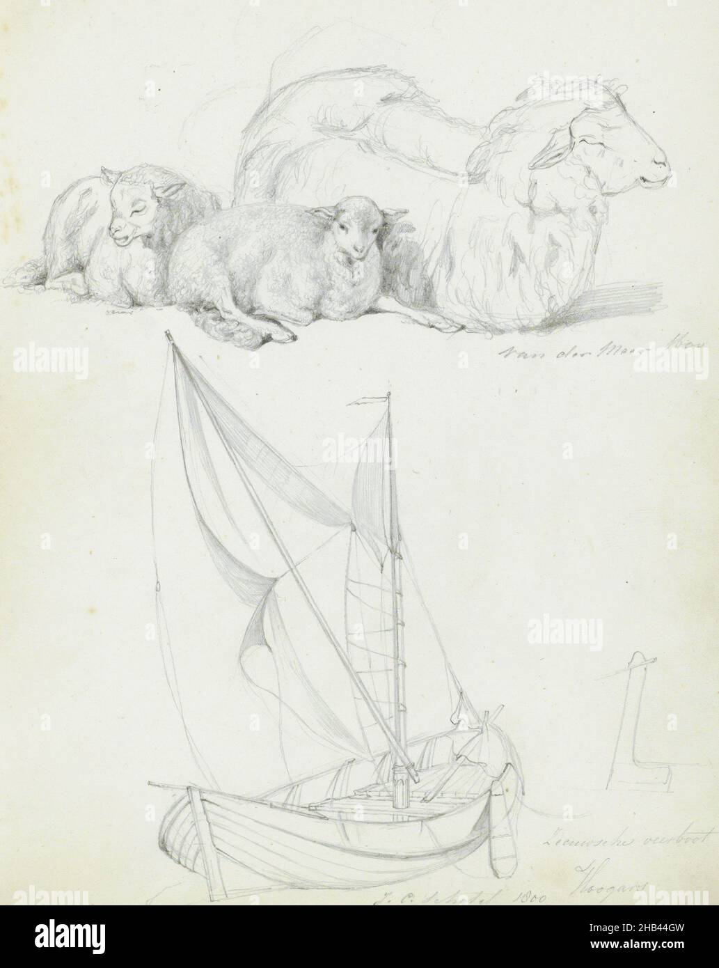 Foglio 8 recto da un libro di schizzo con 21 fogli, pecora e un ferry boat Zeeland, dopo Jan van der Meer (II), 1820 - 1872 Foto Stock