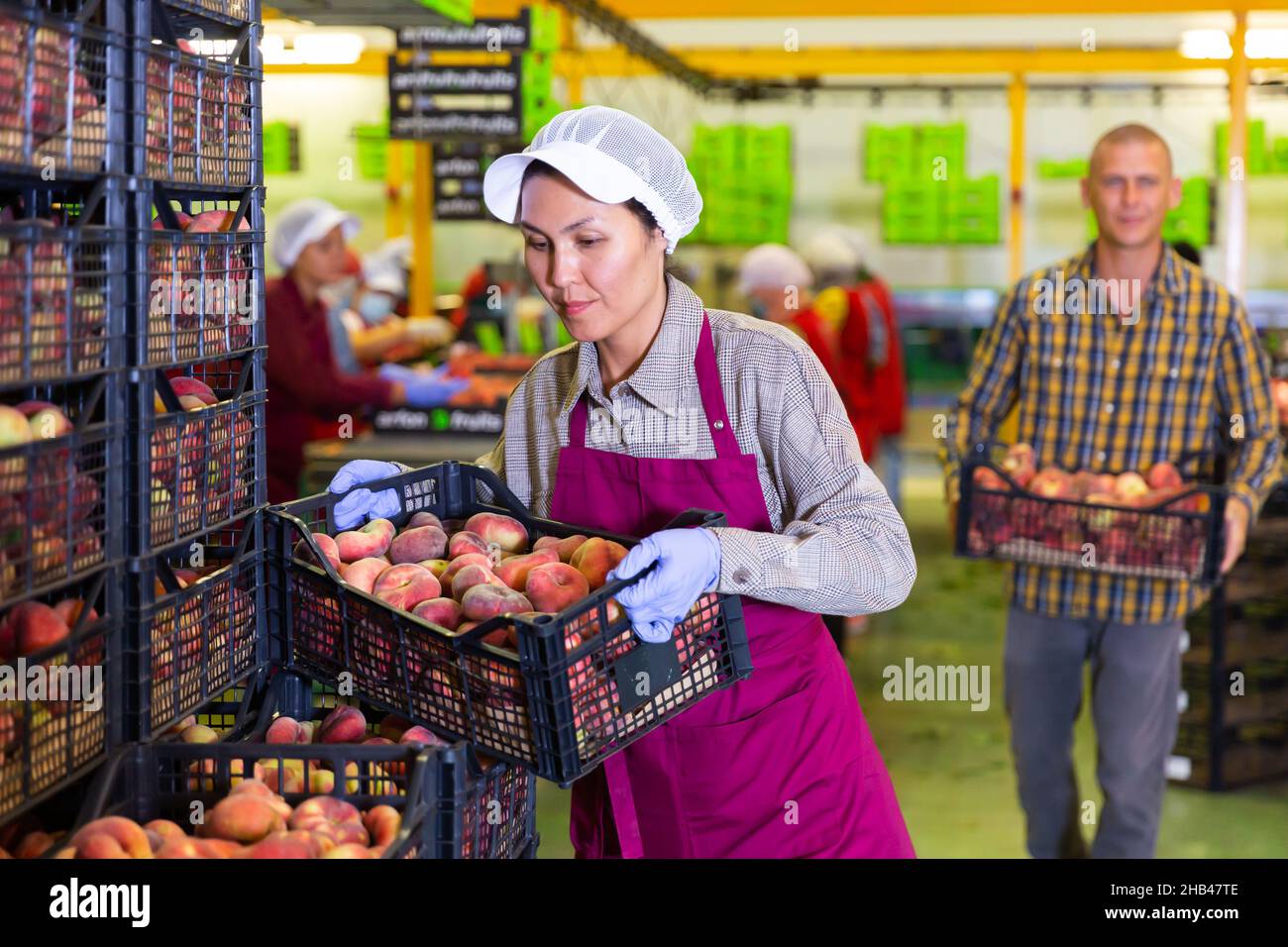 Donna felice in gabbia di tenuta uniforme con pesche durante l'imballaggio Foto Stock