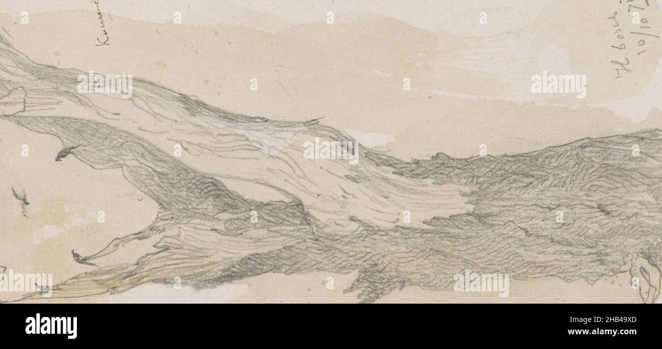 I funghi crescono sul tronco. Foglio 87 verso da un libro di schizzo con 98 fogli, Kouwen op een treomstam in the Haagse Bos., Johannes Twenraat, 1871 Foto Stock