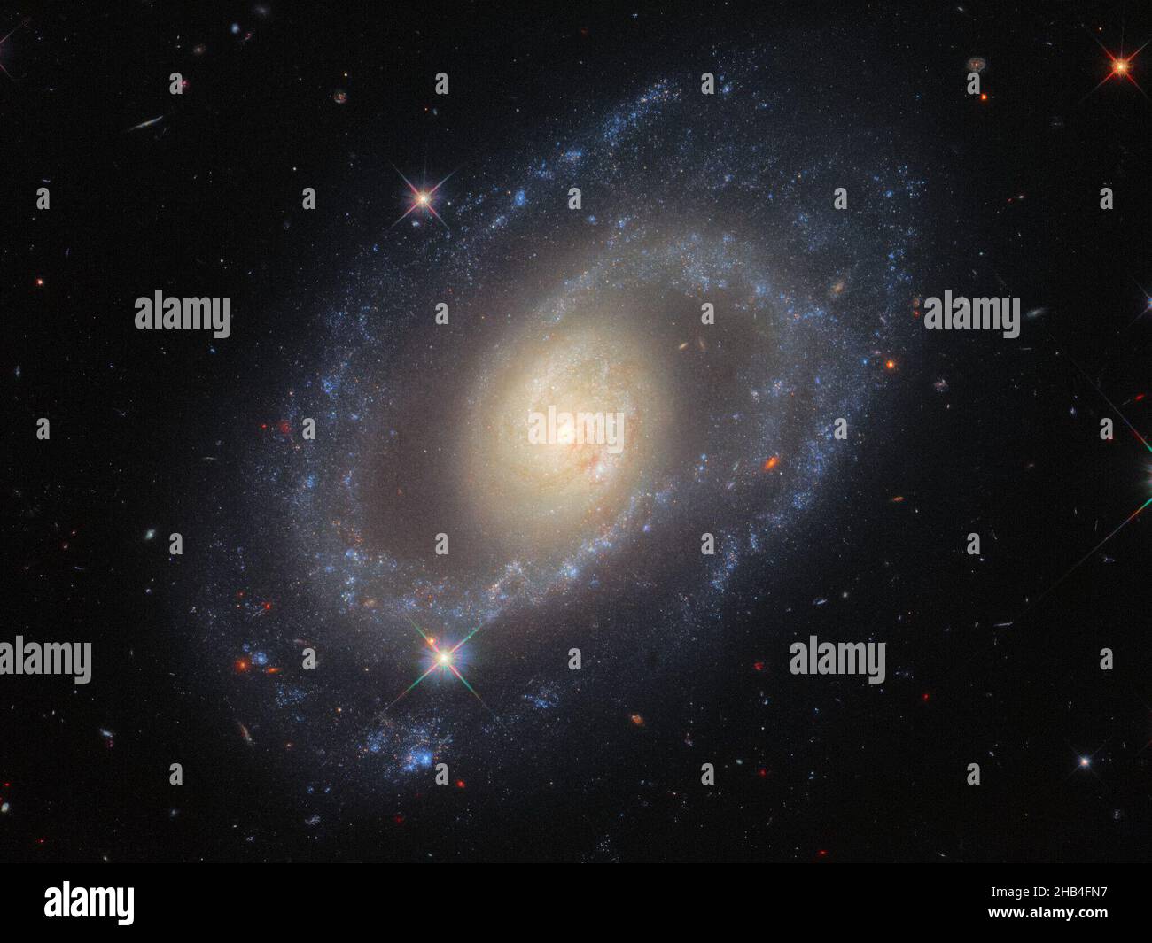 Questa immagine del telescopio spaziale Hubble della NASA/ESA presenta la galassia a spirale MRK 1337, che è a circa 120 milioni di anni luce dalla Terra nella costellazione di Virgo. La telecamera a campo ampio 3 di Hubble ha scattato MRK 1337 a una vasta gamma di lunghezze d'onda ultraviolette, visibili e infrarosse, producendo questa immagine riccamente dettagliata. MRK 1337 è una galassia a spirale debolmente barrata, che come suggerisce il nome significa che le braccia a spirale irradiano da una barra centrale di gas e stelle. Le sbarre si presentano in circa la metà delle galassie a spirale, inclusa la nostra galassia la Via Lattea. Queste osservazioni fanno parte di una campagna per im Foto Stock