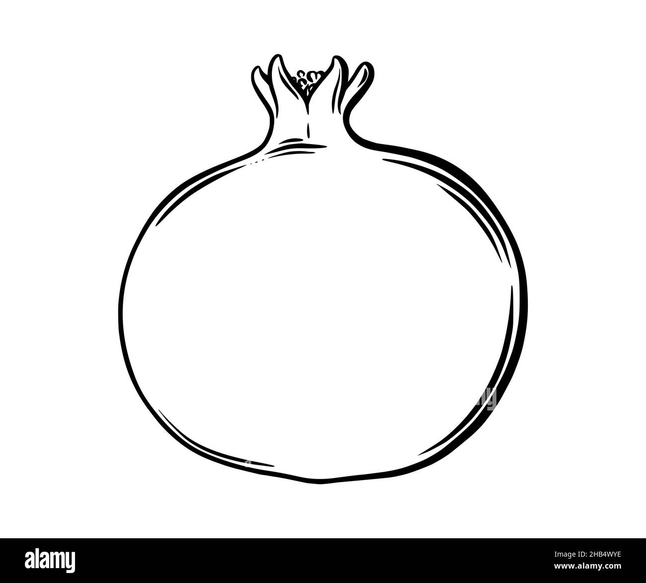 Vista laterale della frutta di melograno. Melograno esotico colorato. Illustrazione vettoriale isolata su sfondo bianco Illustrazione Vettoriale