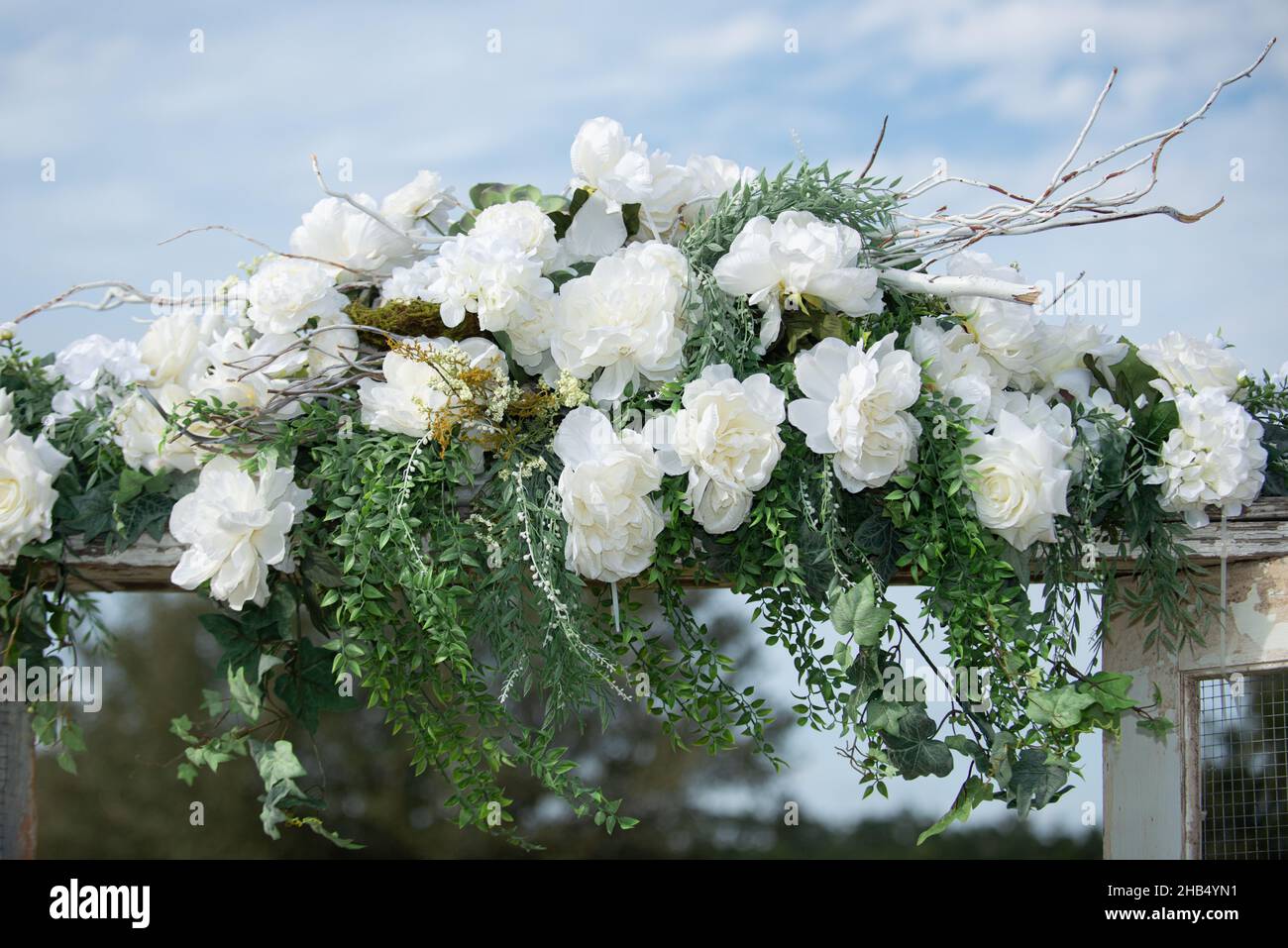 Arco di nozze con rose bianche Deoration close up con cielo blu background1 Foto Stock