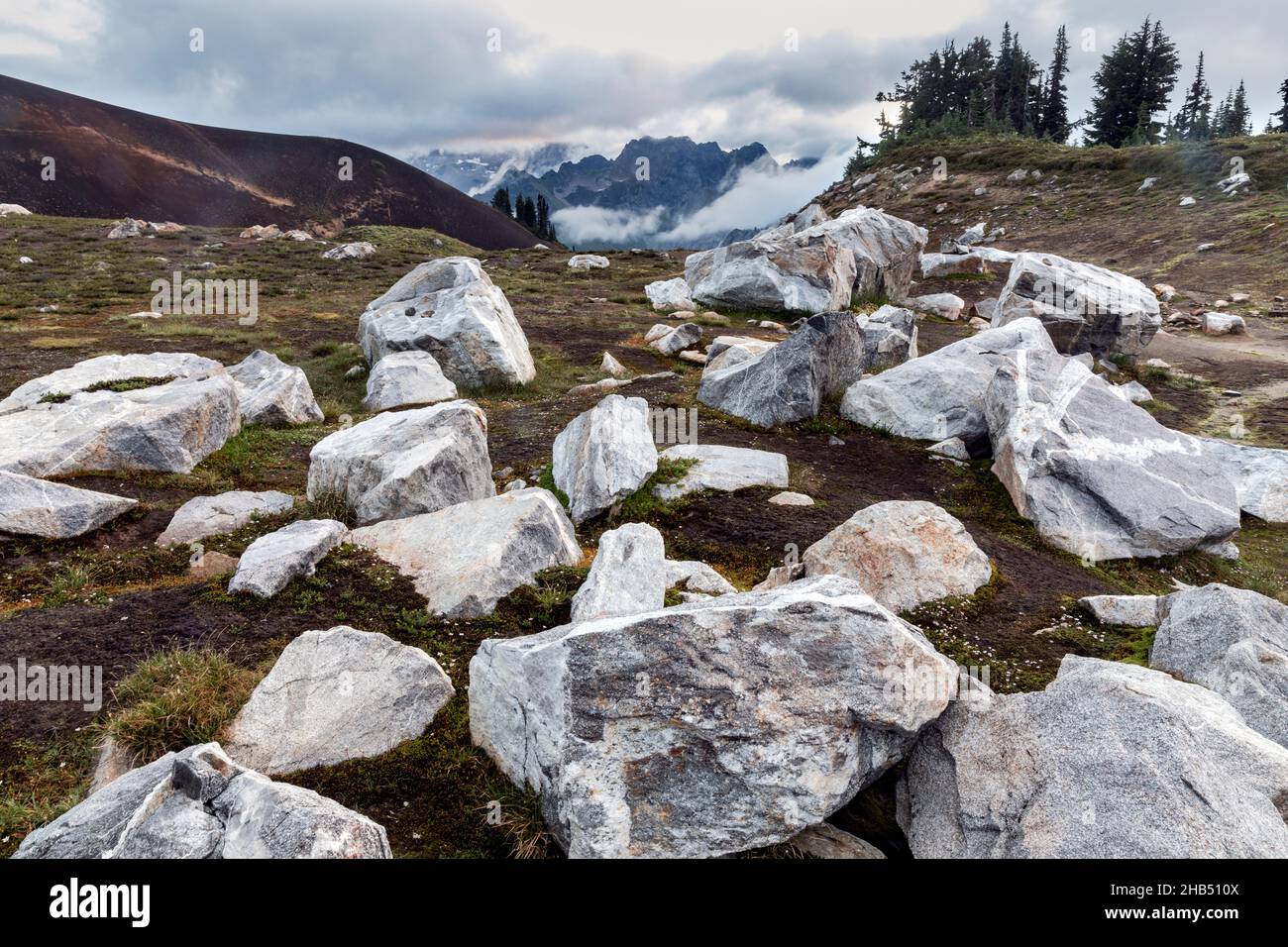 WA20529-00....WASHINGTON - Vista dal White Chuck Cinder Cone, Glacier Peak Wilderness, Mount Baker Snoqualmie National Forest. Foto Stock