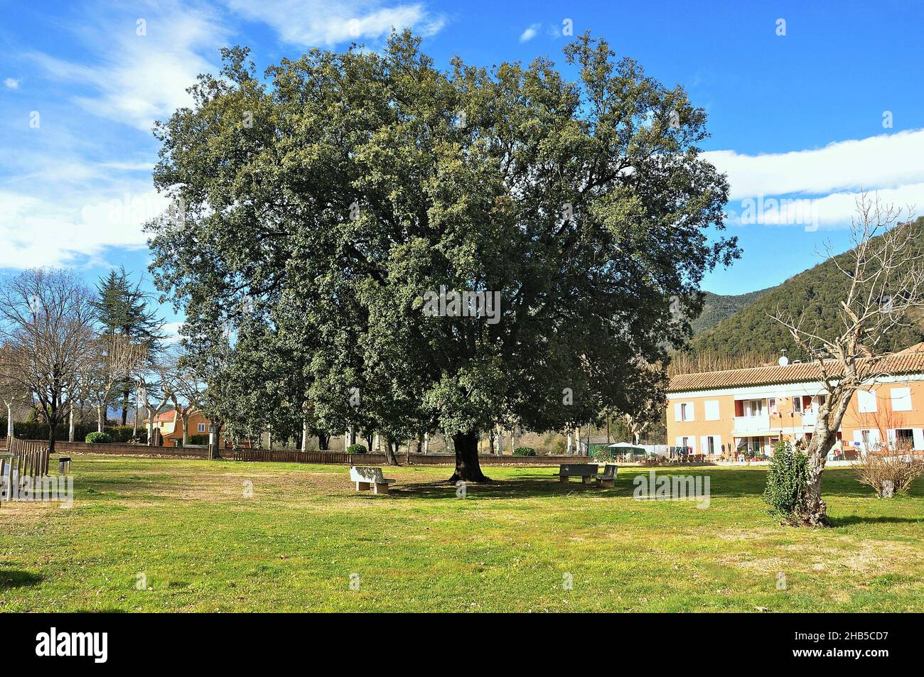 Giardini di Sant Joan les Fonts nella regione Garottxa della provincia di Gerona, Catalogna, Spagna Foto Stock