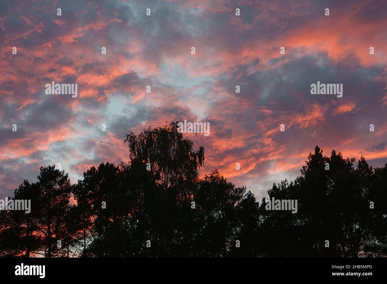 Prendere il sole alla periferia di Berlino. Il cielo sembra bruciare. Romantico cielo serale. Foto Stock