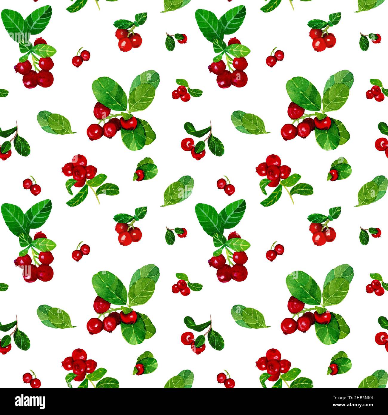 Acquerello Cranberry motivo senza cuciture su sfondo bianco. Pittura disegnata a mano di rametti di mirtilli con foglie. Illustrazione di cespugli di viburnum. Foto Stock