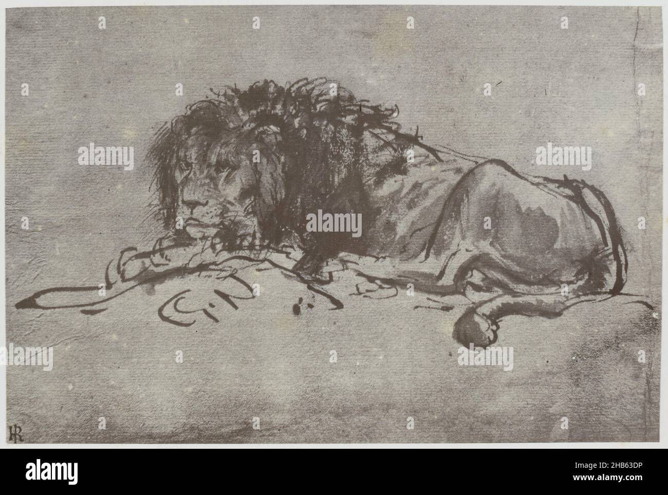 Rembrandt, un Leone, Fotoreproduzione del disegno in 'The Reveley Collection of drawings at Brynygwin', fig. 42., Philip Henry Delamotte, Thomas Frederick Hardwich, 1855 - 1858, carta, stampa albume, altezza 133 mm x larghezza 201 mm Foto Stock