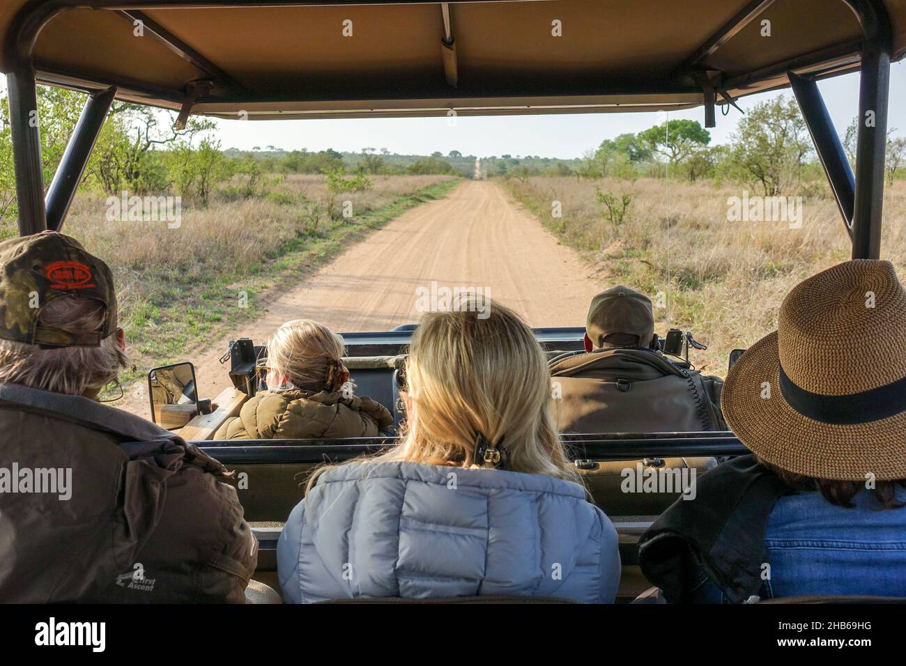 Avvistamento di selvaggina da parte dei turisti su un safari, safari, tra la fauna selvatica del Parco Nazionale Kruger, Sudafrica Foto Stock