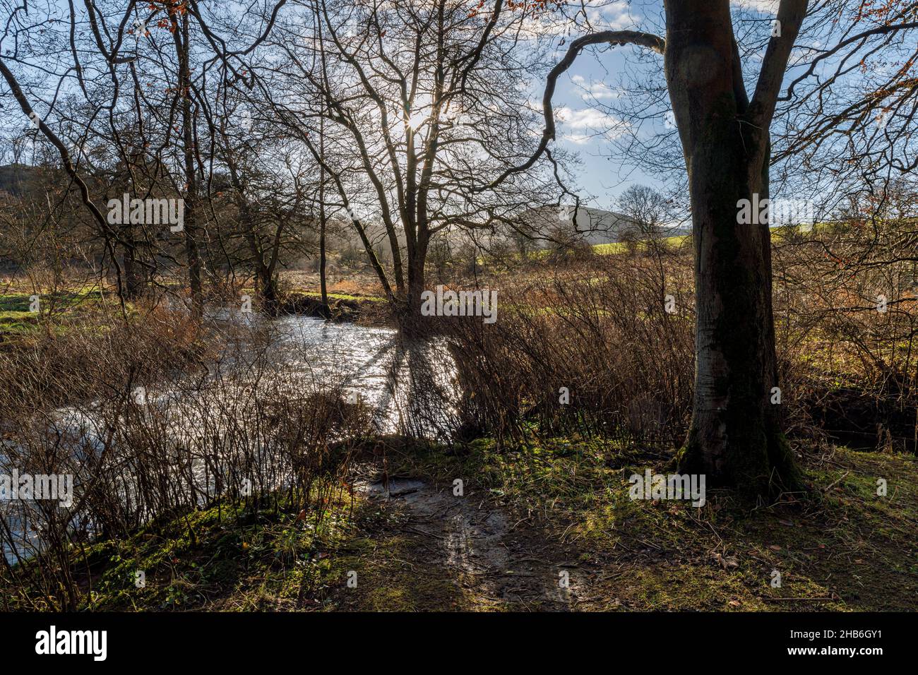 Il fiume dove a Beresford Dale con una vista verso Narrowdale Hill, Peak District National Park, Staffordshire Foto Stock