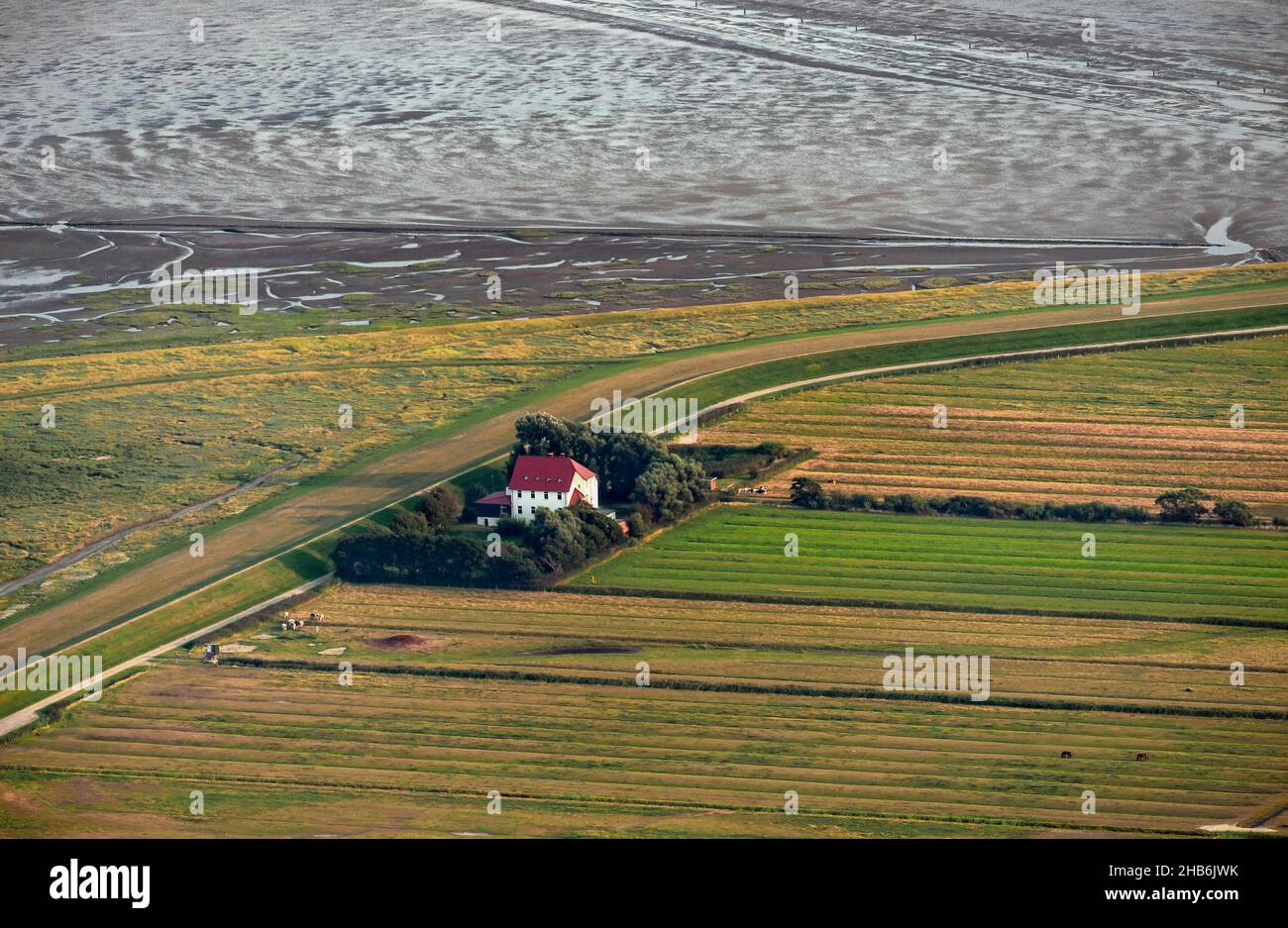 Casa sull'isola di Neuwerk, vista aerea, Germania, Parco Nazionale di Hamburgisches Wattenmeer Foto Stock