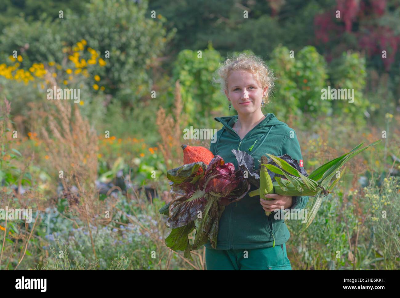 Giovane donna giardiniera al raccolto di verdure in un giardino di coltura , Germania, Amburgo, Flottbek Foto Stock