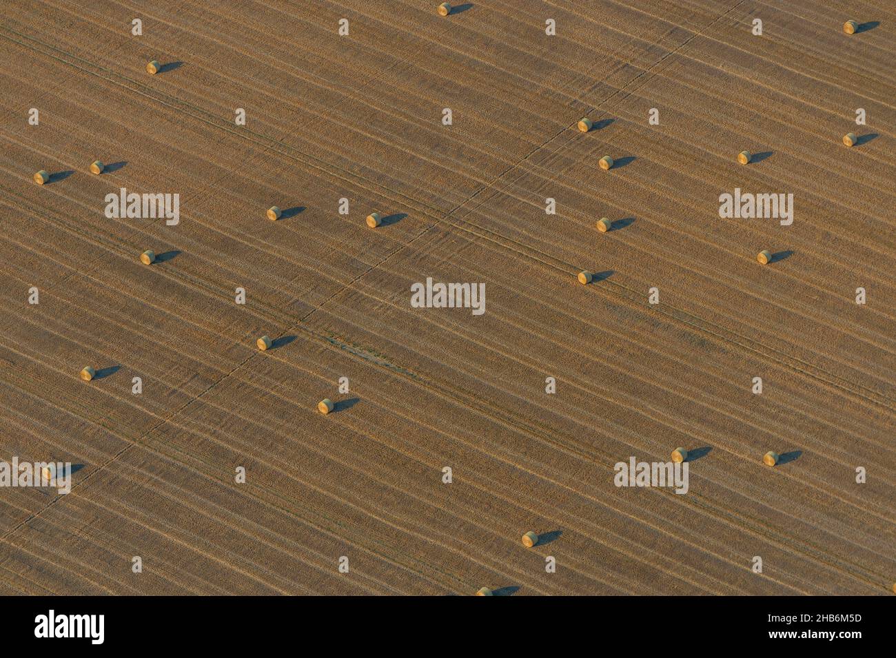 Campo di grano raccolto con balle rotonde, vista aerea , Germania, Schleswig-Holstein, Neufelder Koog Foto Stock