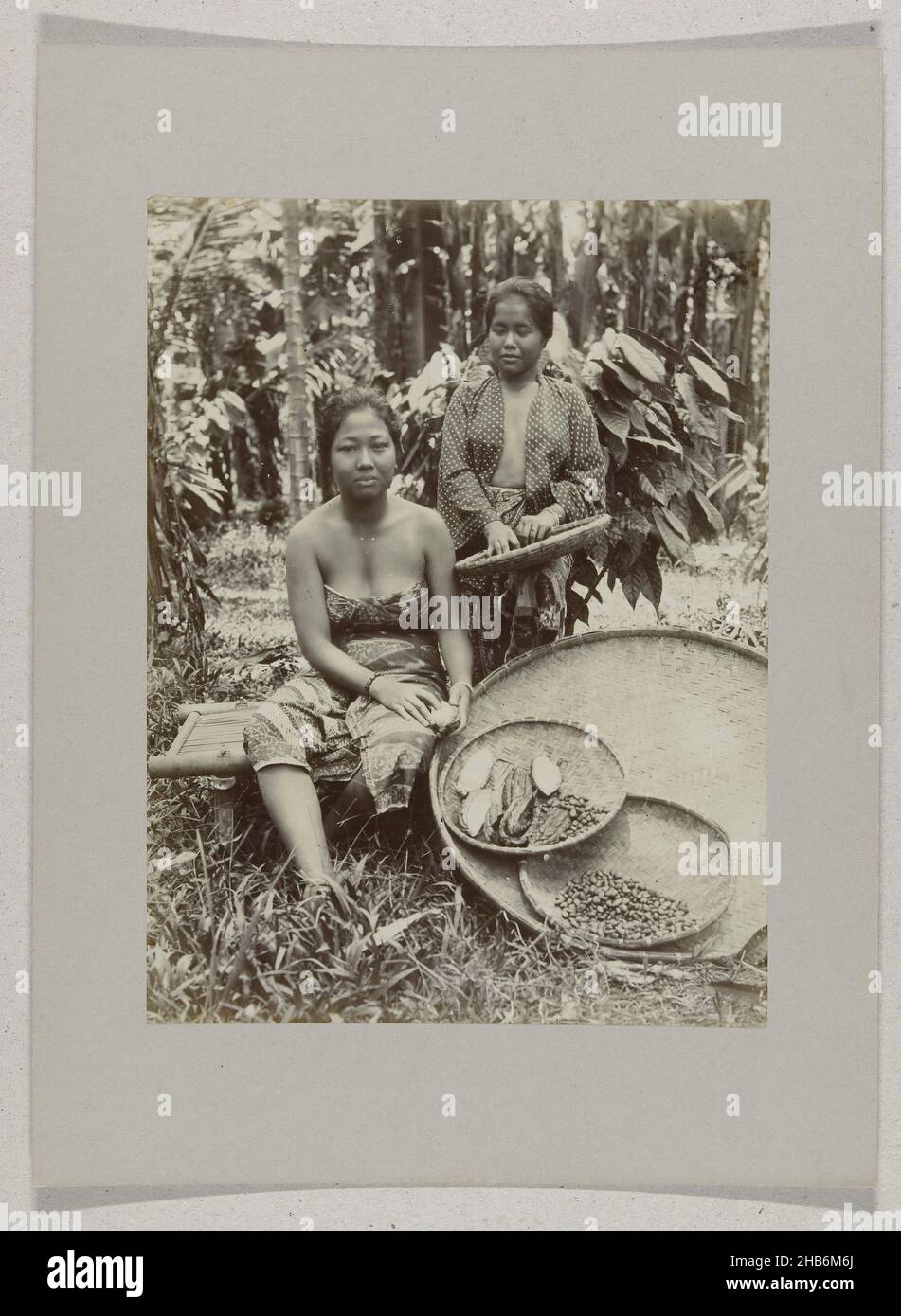 Donne che decarbonizzano il cacao a Buitenzorg, donne che decarbonizzano il cacao a Buitenzorg (Bogor), Indie orientali olandesi, anonime, Indie orientali olandesi, il, c. 1895 - c. 1915, supporto fotografico, carta, stampa in argento gelatina, altezza 239 mm x larghezza 180 mm altezza 243 mm x larghezza 329 mm Foto Stock