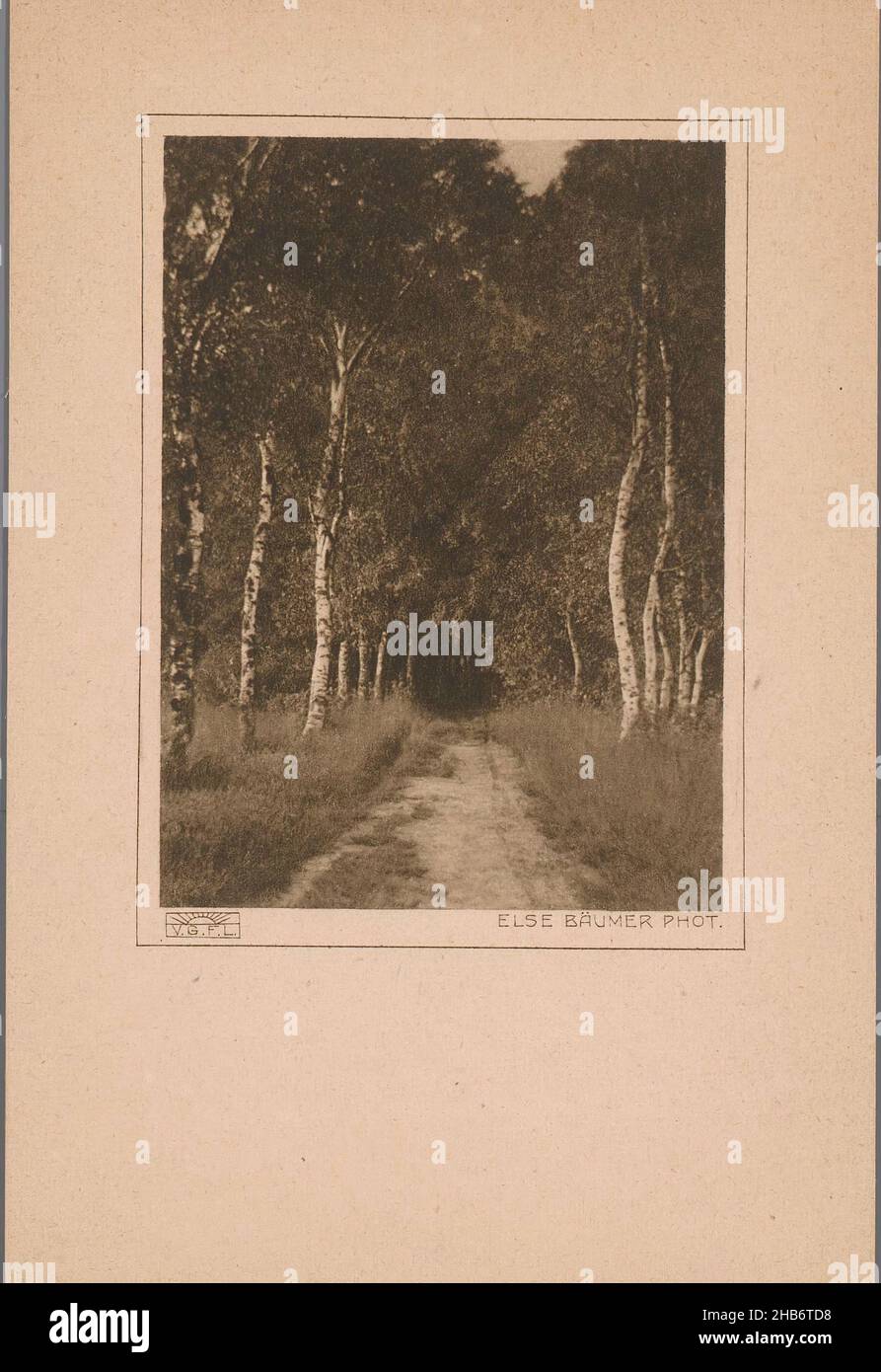 Strada deserta con birch su entrambi i lati, Germania [?], else Bäumer (menzionato sull'oggetto), editore: Verlagsgesellschaft für Lichtbildkunst (V.G.F.L.) (Citato in oggetto), Maagdenburg, c.. 1913 - c. 1940, carta, cartone, altezza 82 mm, larghezza 59 mm, altezza 140 mm, larghezza 92 mm Foto Stock