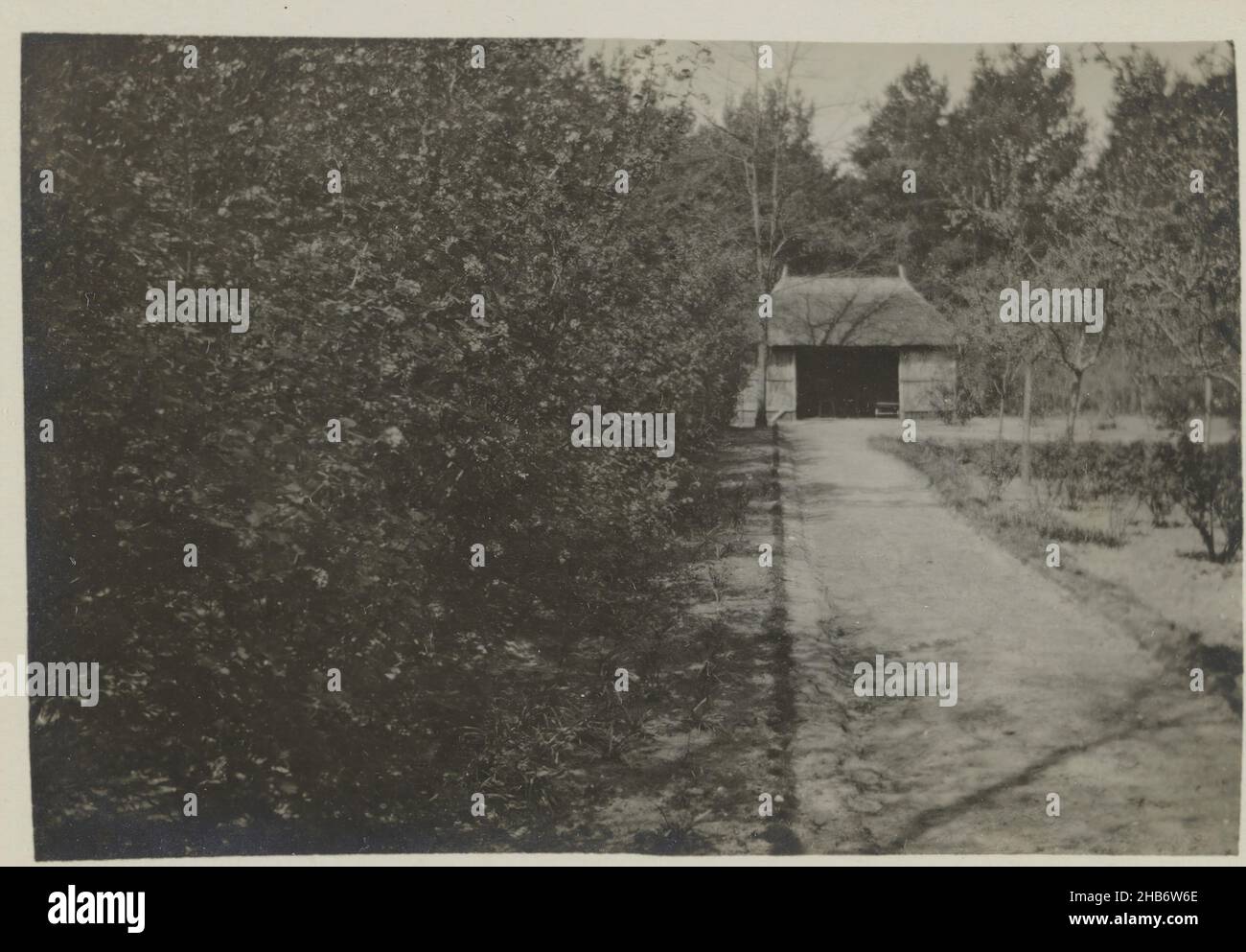 Vista di boschetti e fienile, Cornelia Hendrika Jonker (cerchio di), 1910 - 1950, supporto fotografico, stampa in argento gelatina, altezza 55 mm x larghezza 79 mm Foto Stock