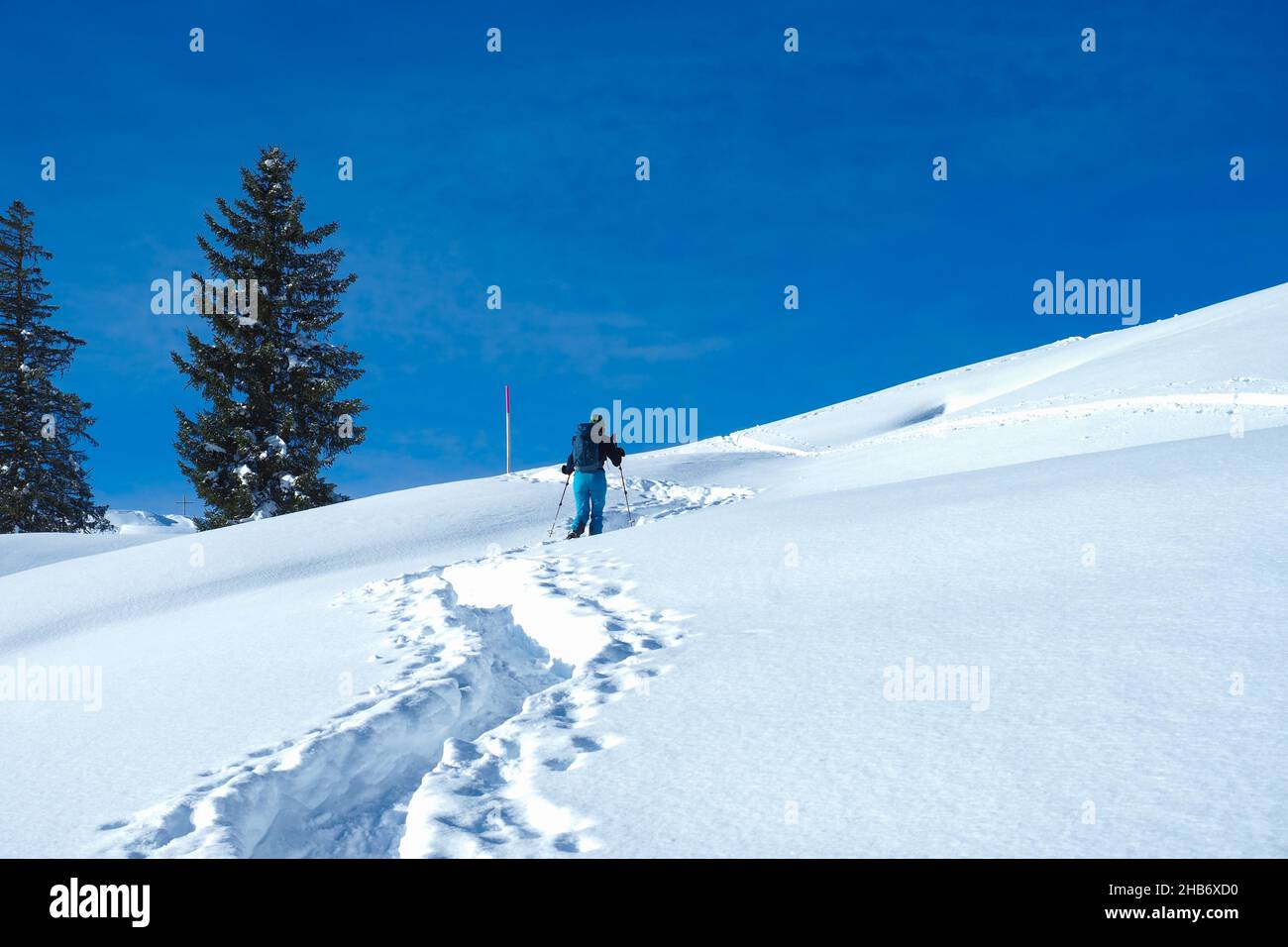 Bella situazione nelle Alpi della Svizzera centrale. Un tourer con racchette da neve che sale su una collina coperta di neve sotto il cielo blu. Foto Stock