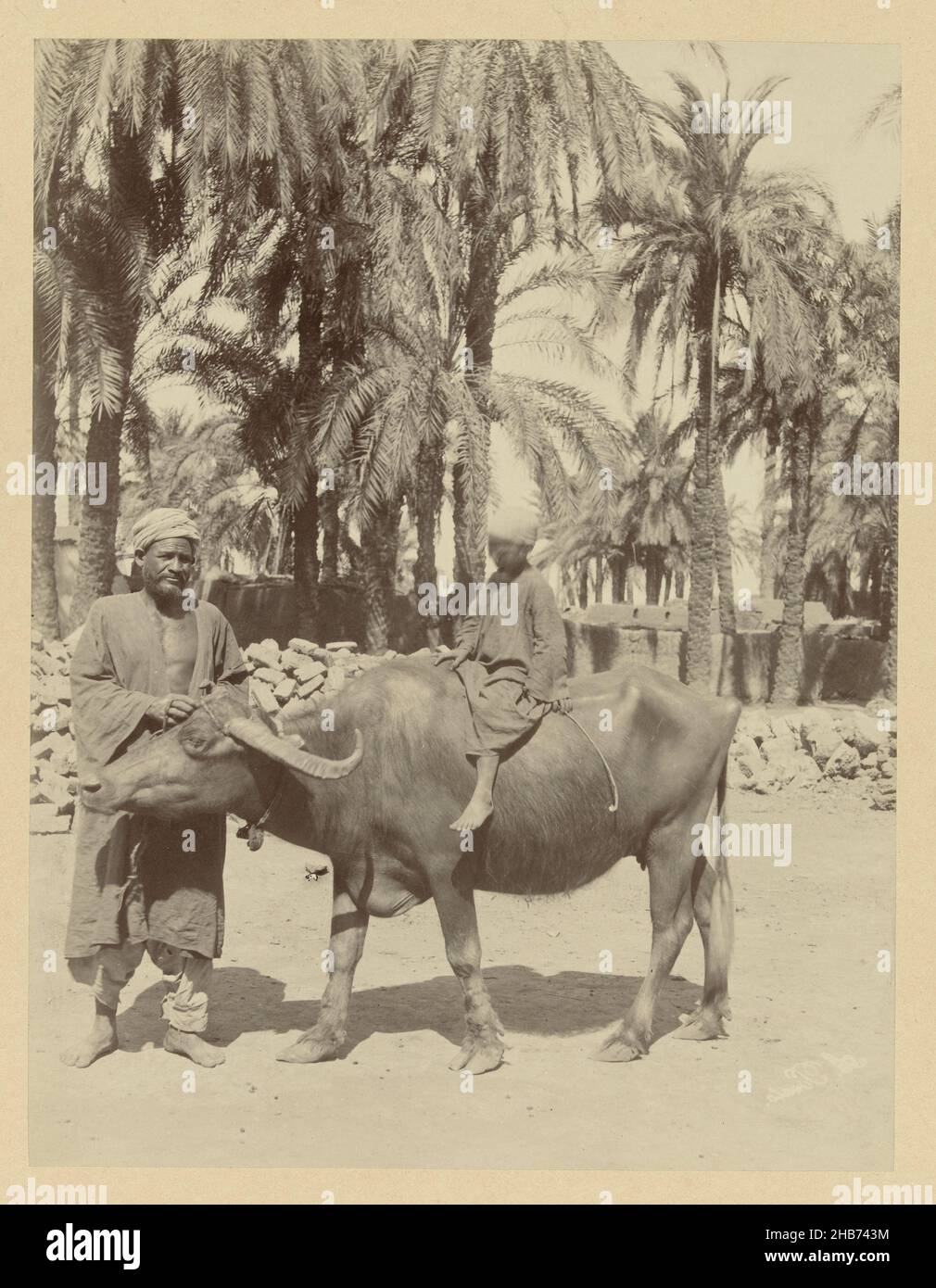 Un ragazzo su un bufalo.e 103. Bufalo egiziano (titolo sull'oggetto), la fotografia fa parte della serie di fotografie dall'Egitto raccolte da Richard Polak., Antonio Beato (menzionato sull'oggetto), Egypte, c.. 1895 - c. 1915, supporto fotografico, carta, stampa albume, altezza 278 mm x larghezza 218 mm altezza 555 mm x larghezza 466 mm Foto Stock