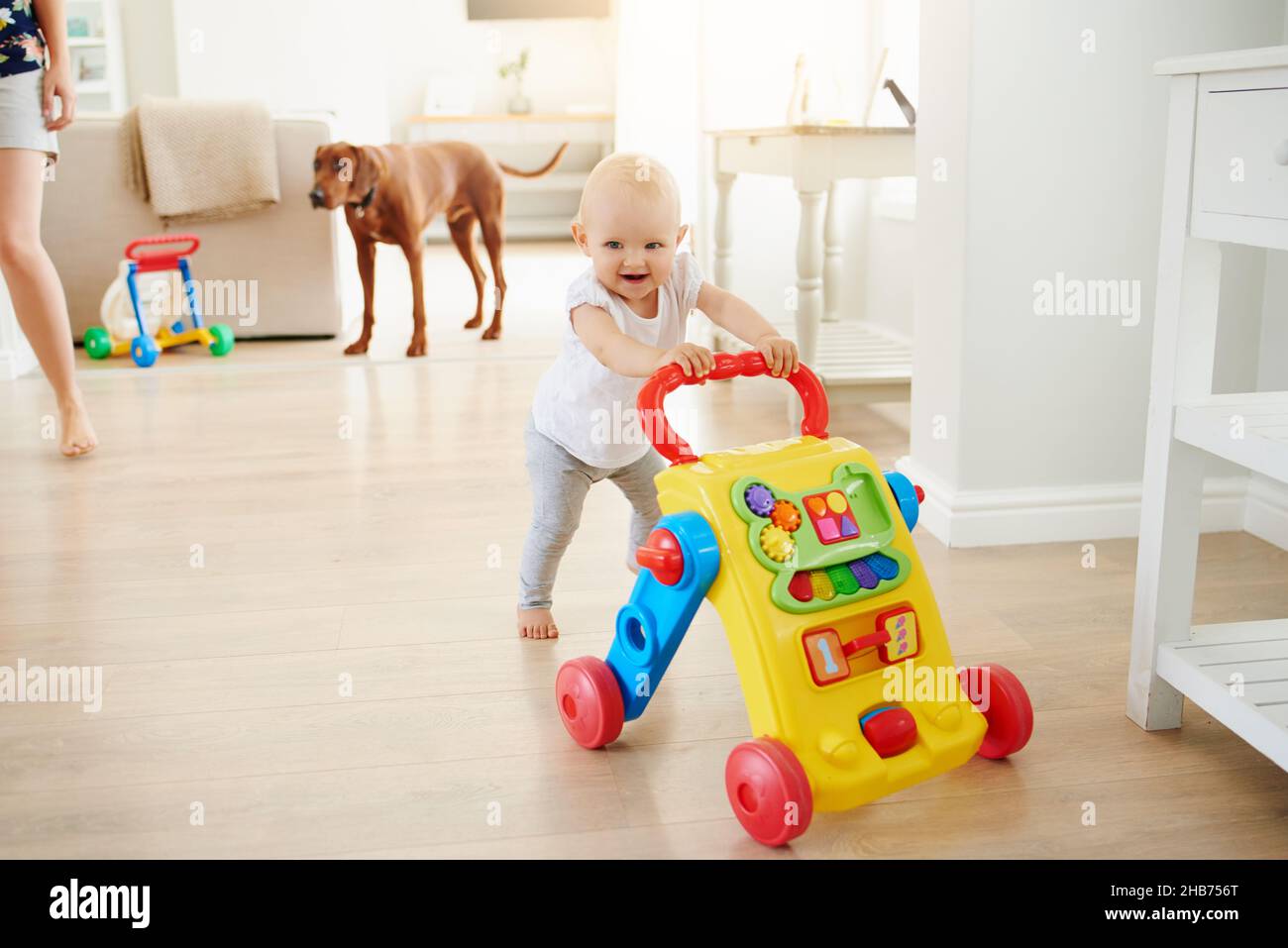 Luoghi da andare, giocattoli da giocare con Foto Stock