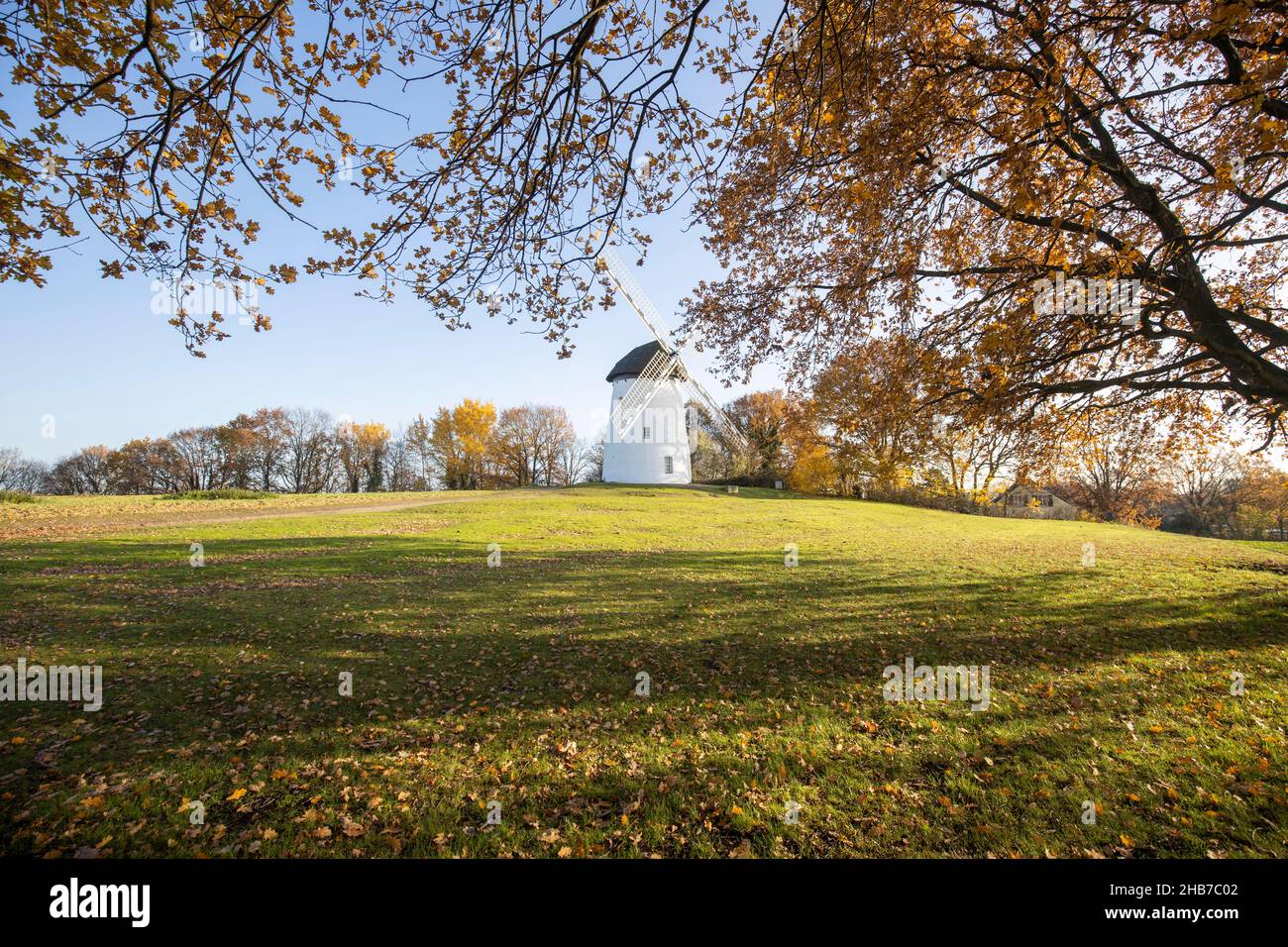 Krefeld-Traar - Vista dal Egelsberg-Windmill con autunno alberi colorati della Renania settentrionale-Vestfalia, Germania, 29.11.2019 Foto Stock