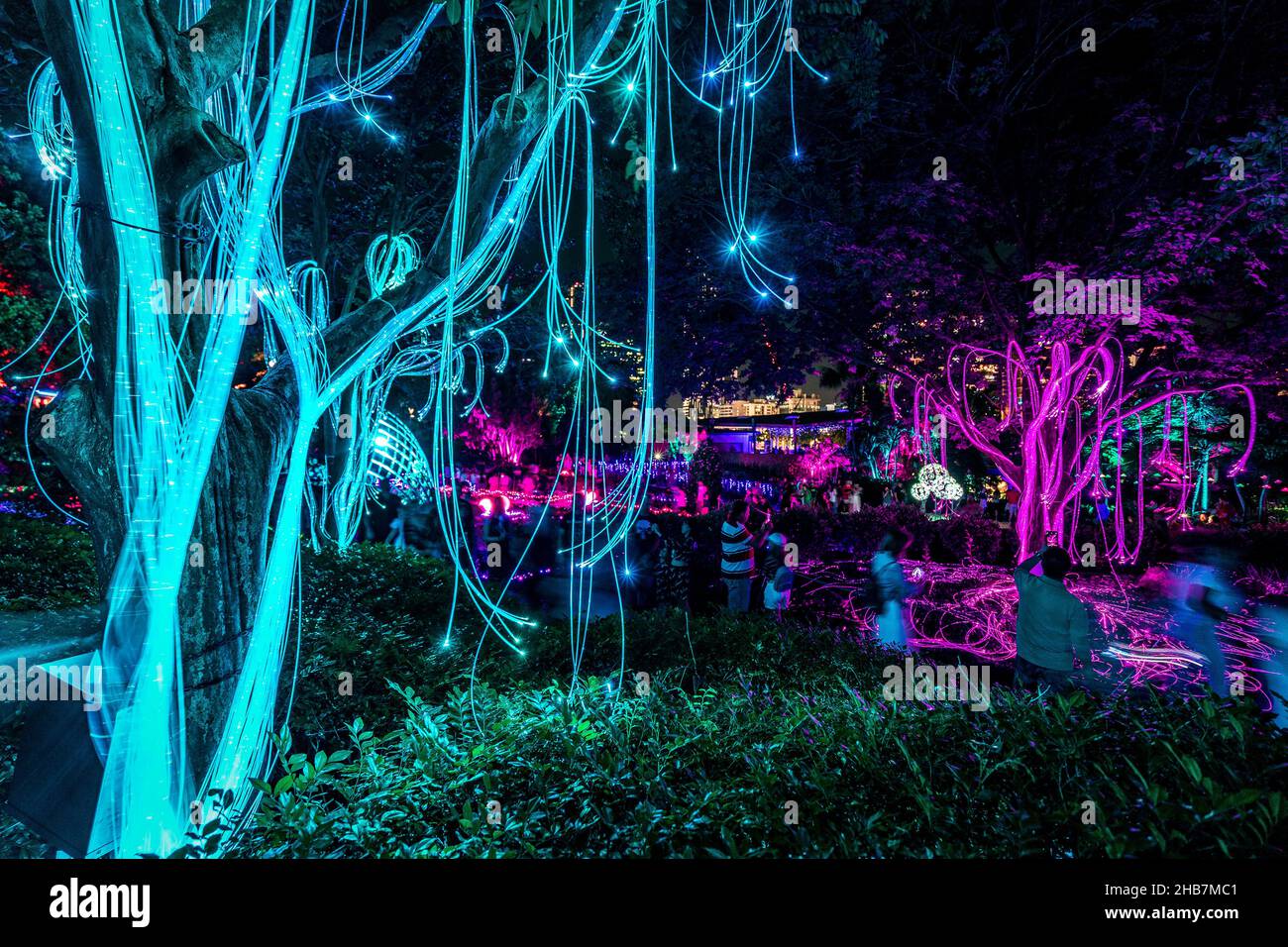 Brisbane, Australia - l'evento Enchanted Garden nel parco di via Roma Foto Stock