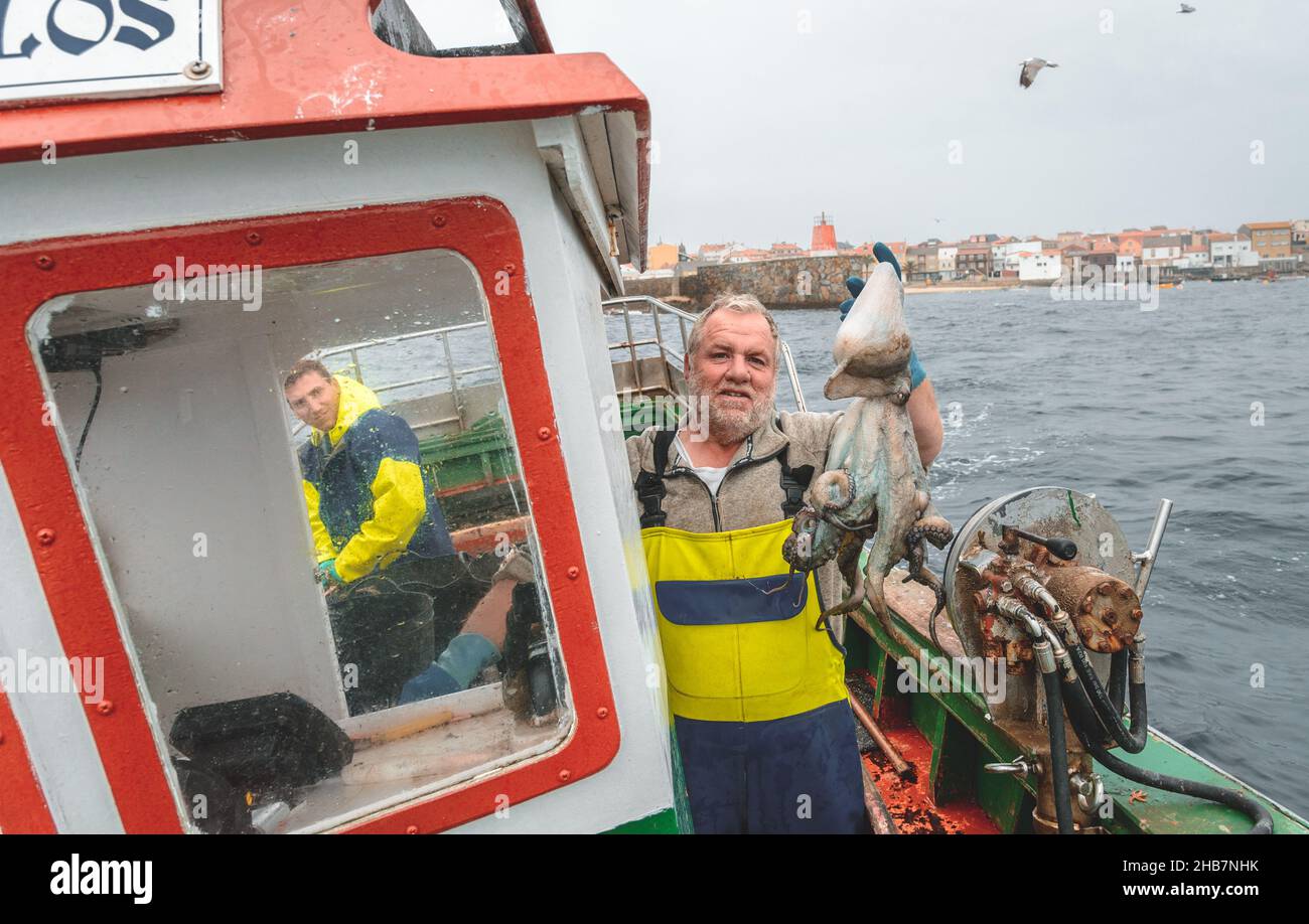 Pescatore di polpi che tiene un polpo a bordo della sua barca, Galizia, Spagna Foto Stock