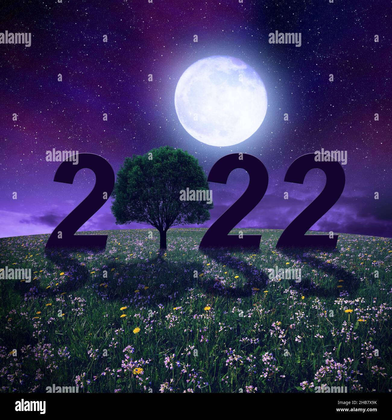 Numero 2022 con albero nel prato di notte in piena luce lunare. Concetto di Felice Anno Nuovo. Foto Stock