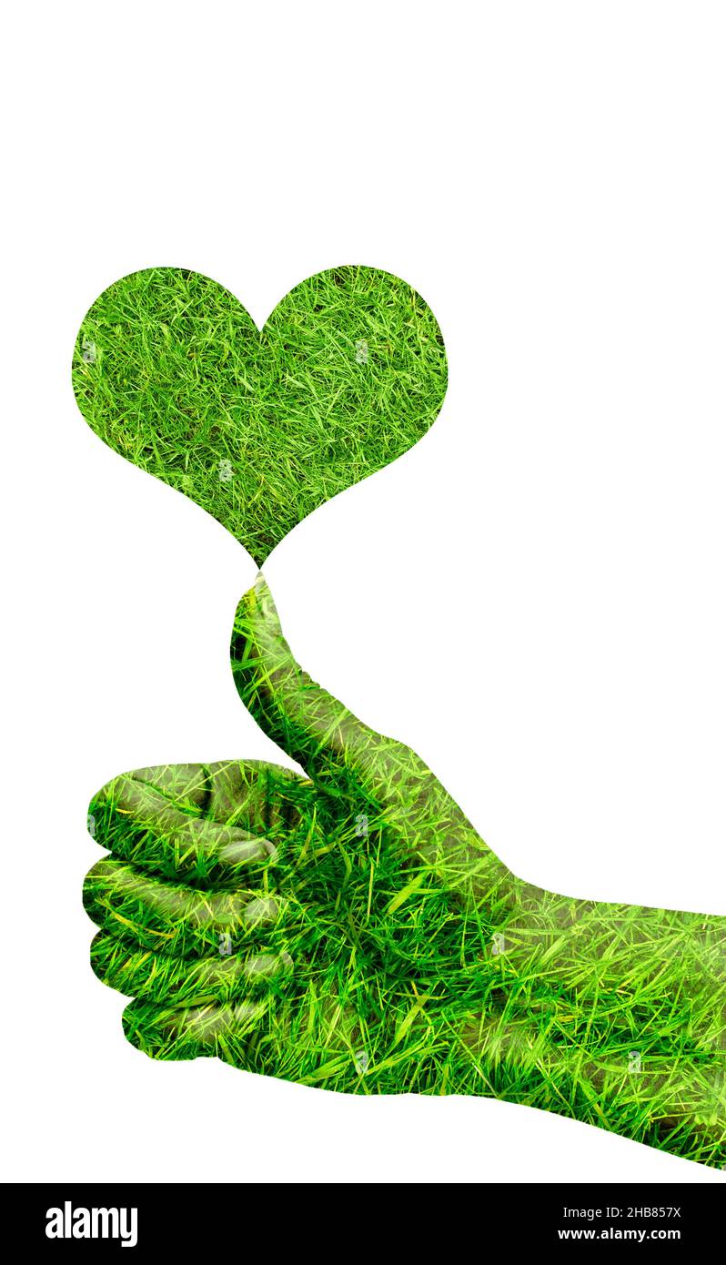 mano verde con pollice su e simbolo del cuore, amore per il concetto di natura Foto Stock
